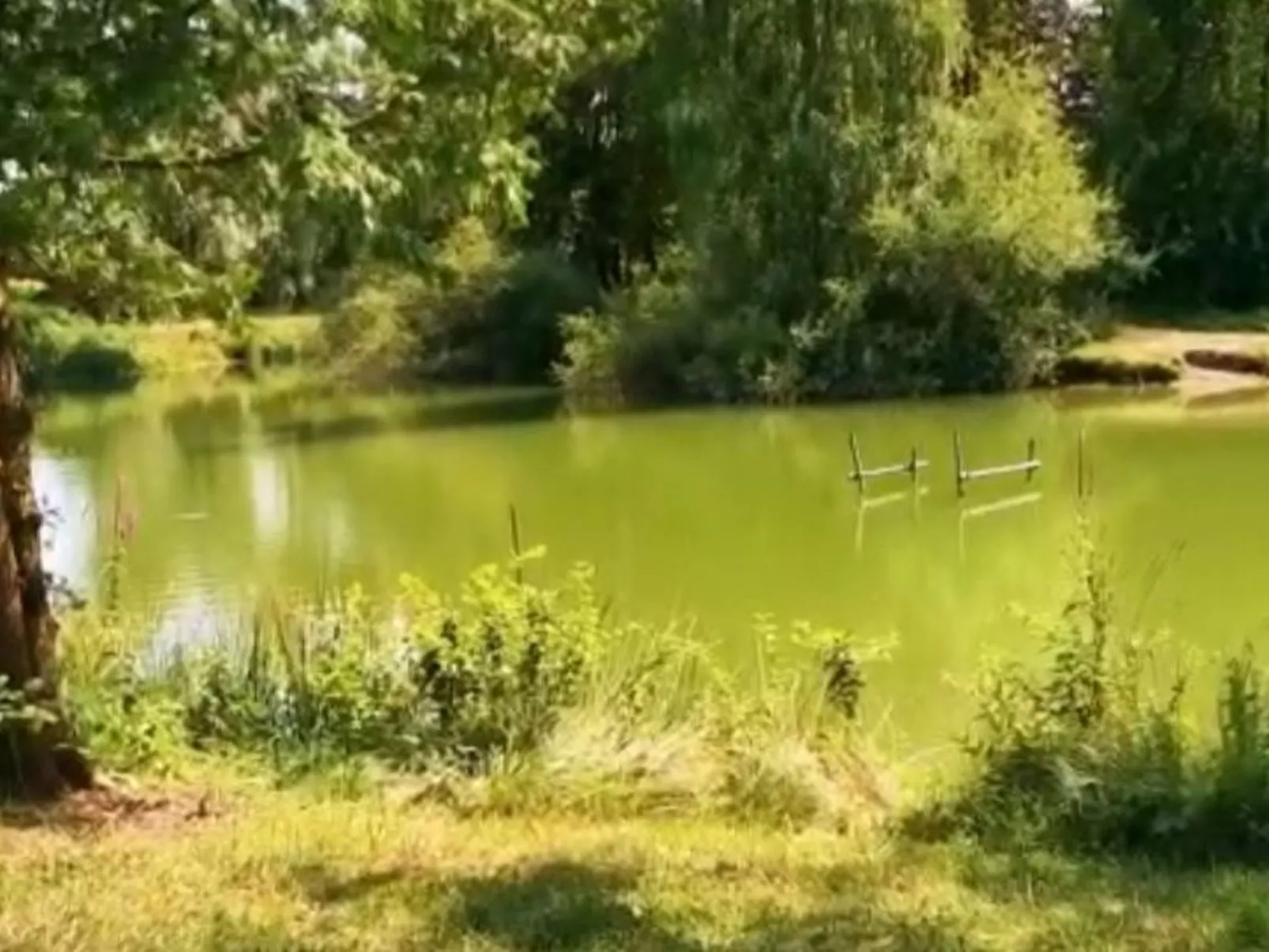 Smart Home Paris, Europapark, Rulantica ca. 15min - Image-tags.info