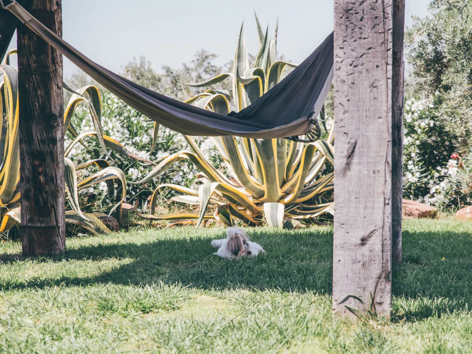 Gehobene ländliche Unterkunft Molino la Nava - Image-tags.info