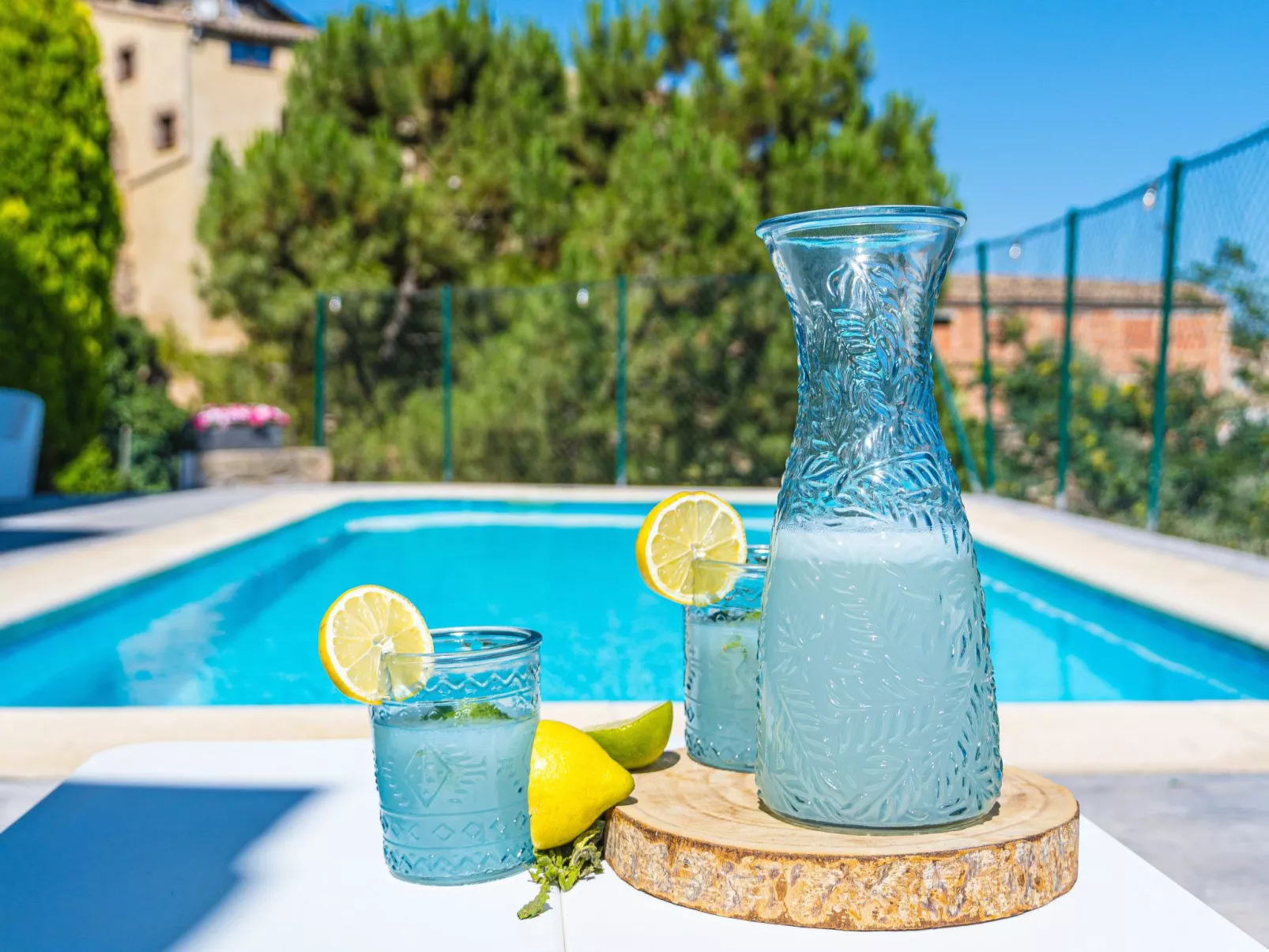 Ländliches Haus Cal Xamora - Buiten