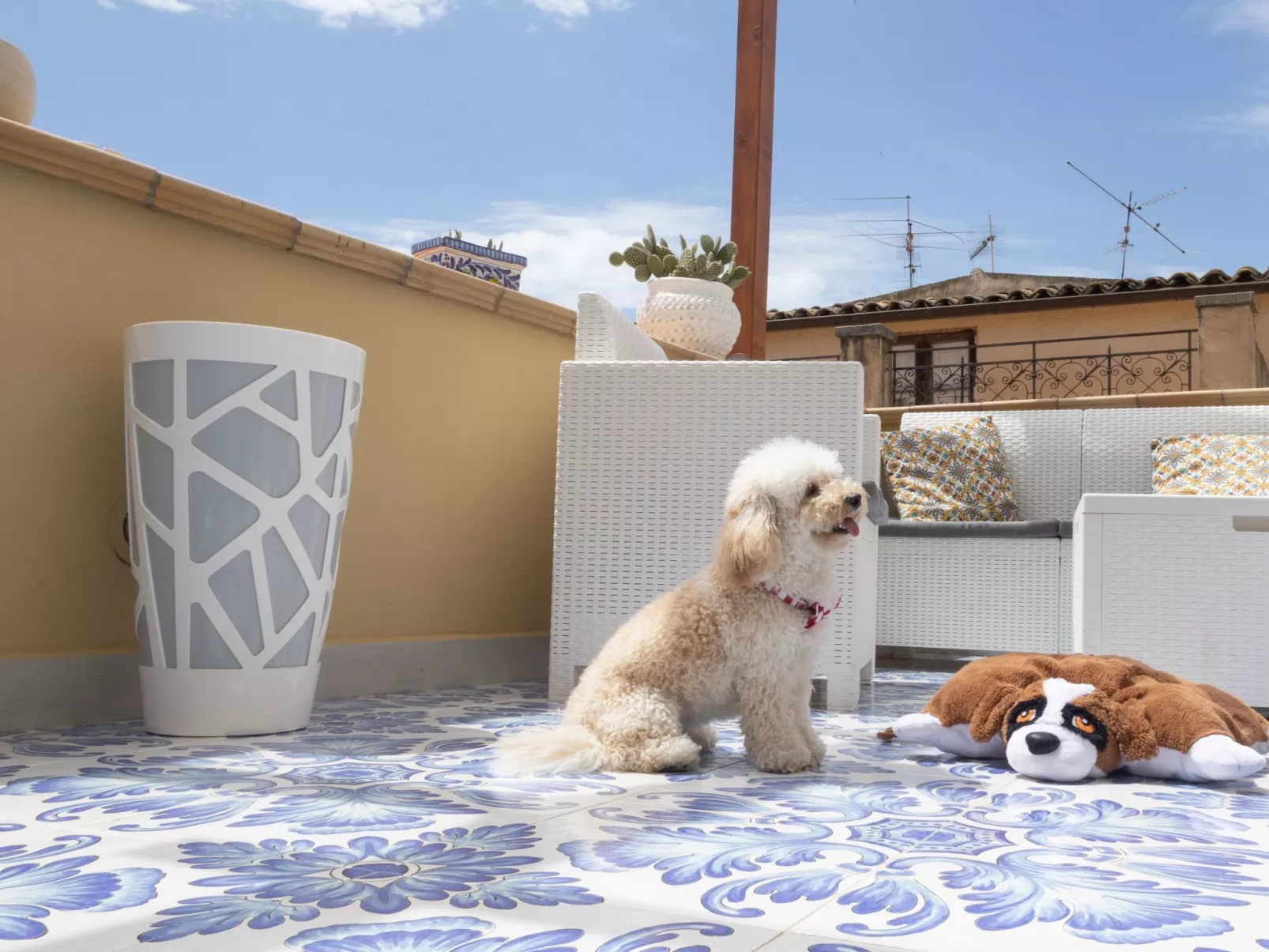 Aus der Tradition geboren, aber in die Innovation eingetaucht - Buiten