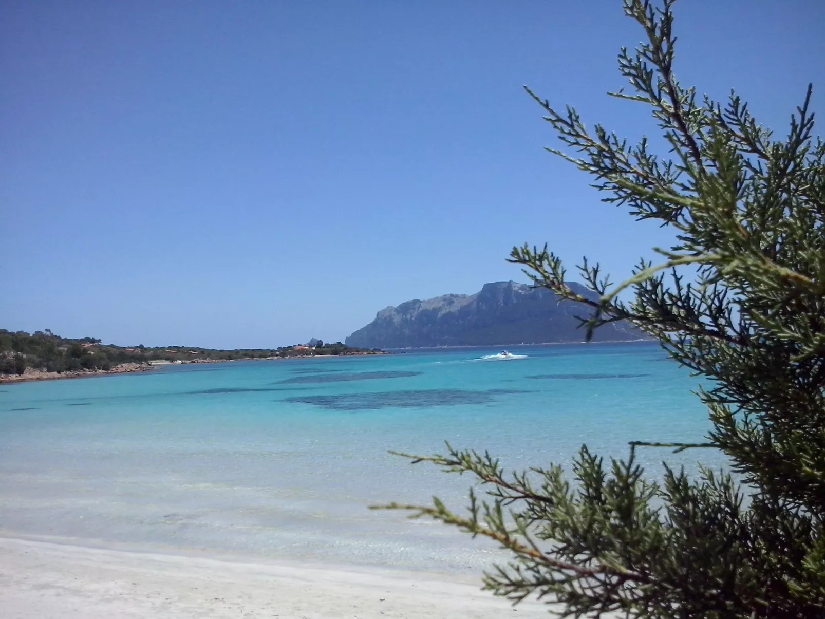 Tenuta 'Olivo Suite' mit Terrasse - Image-tags.info