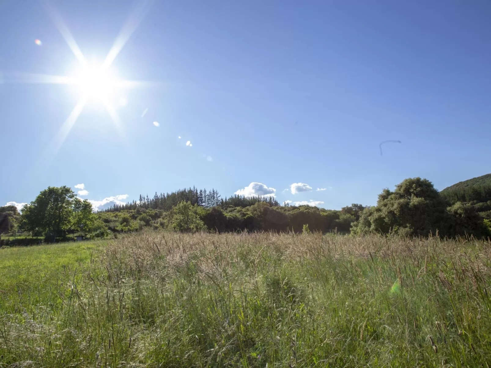 Rural Médulas Haus 1. für 4 PAX belegt. - Buiten