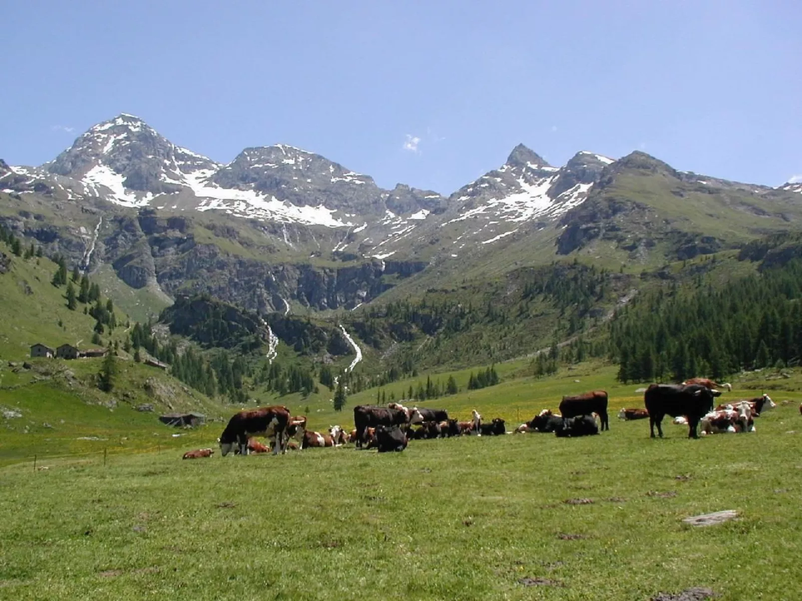 'Lo Chalet' der Balkon über dem Matterhorntal - Buiten