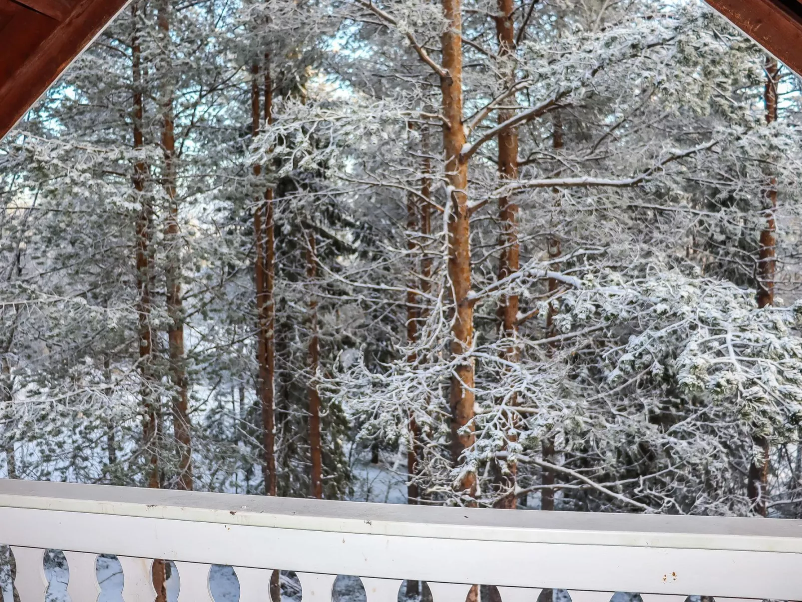 Alppikylä 8a paritalo - Binnen