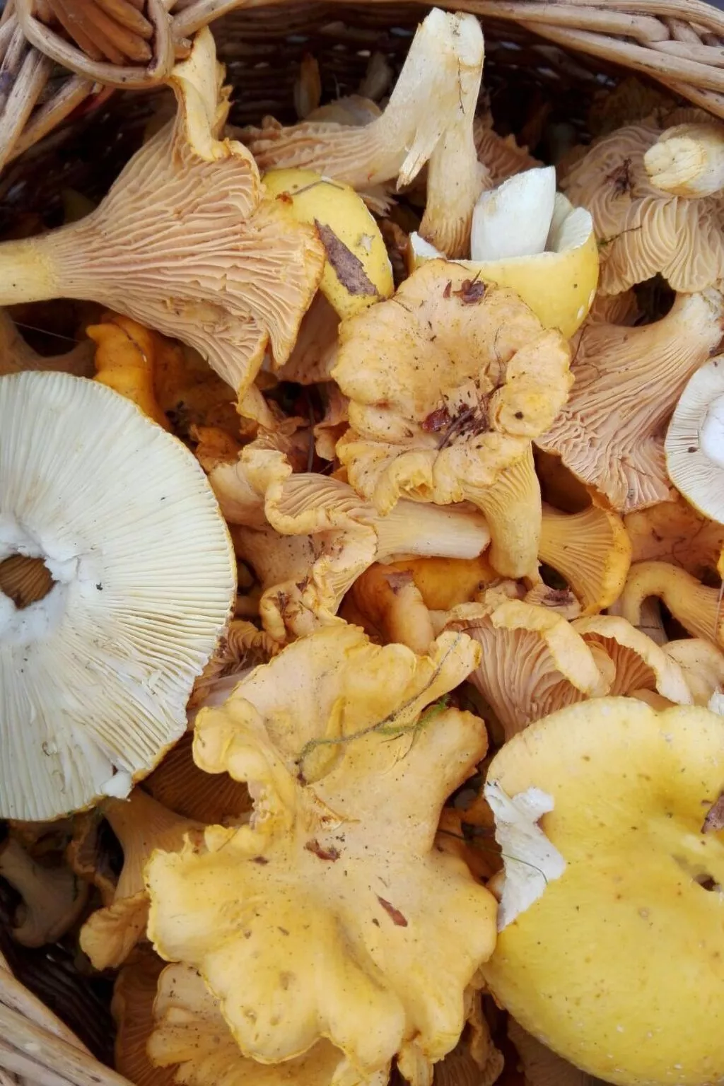 Retreat House - Image-tags.info