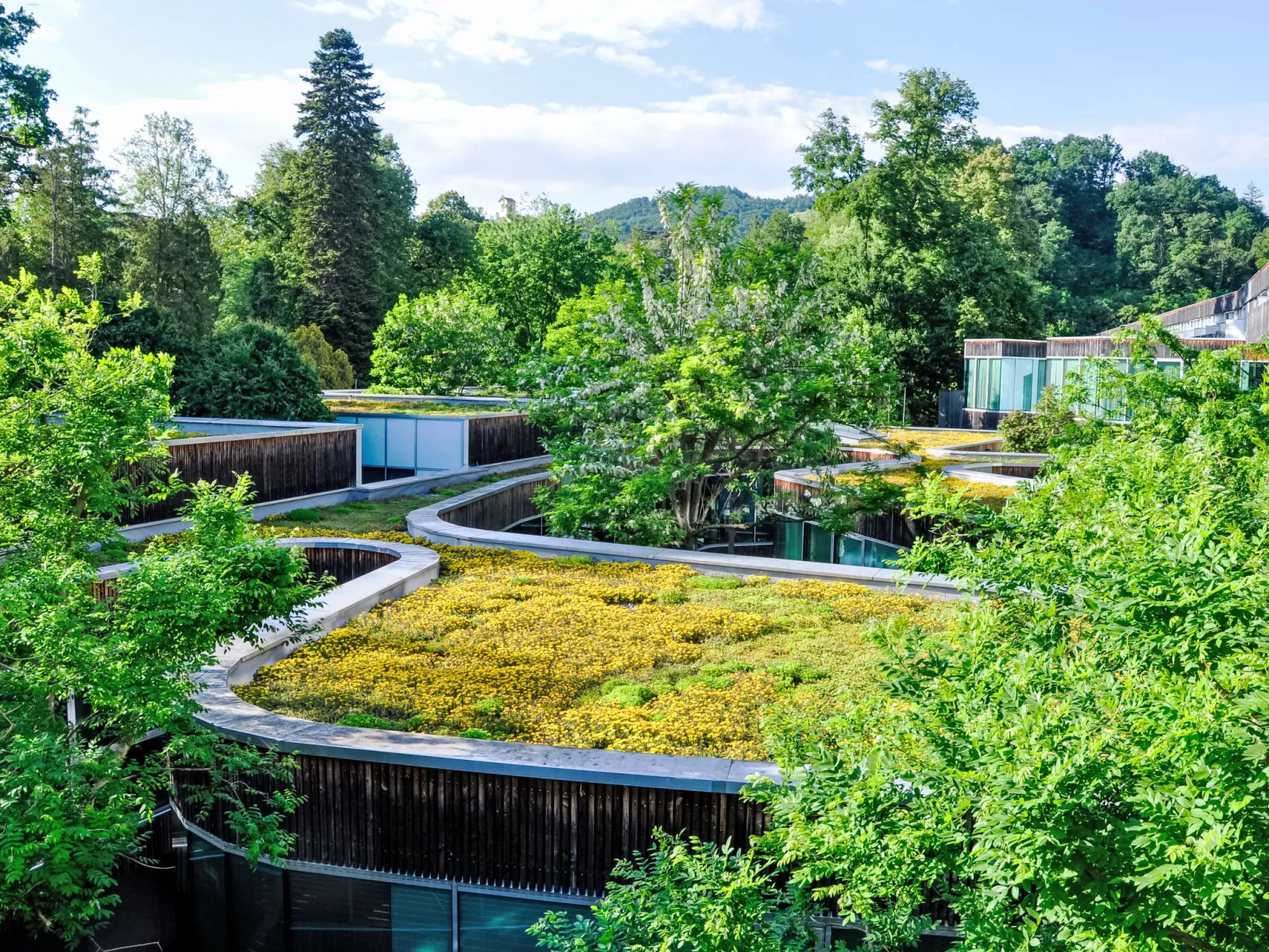 Ferienhaus am Meißlberg - Buiten