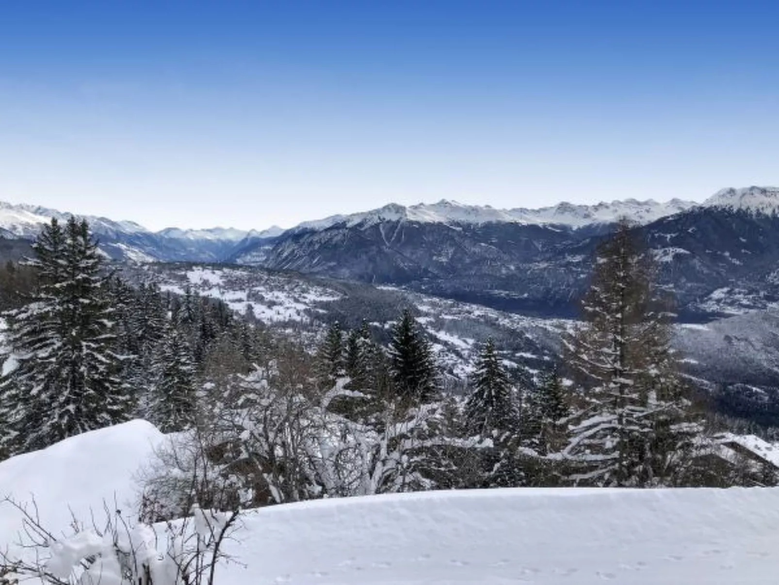 Tiny House facing the Alps - Ski in and out - Buiten