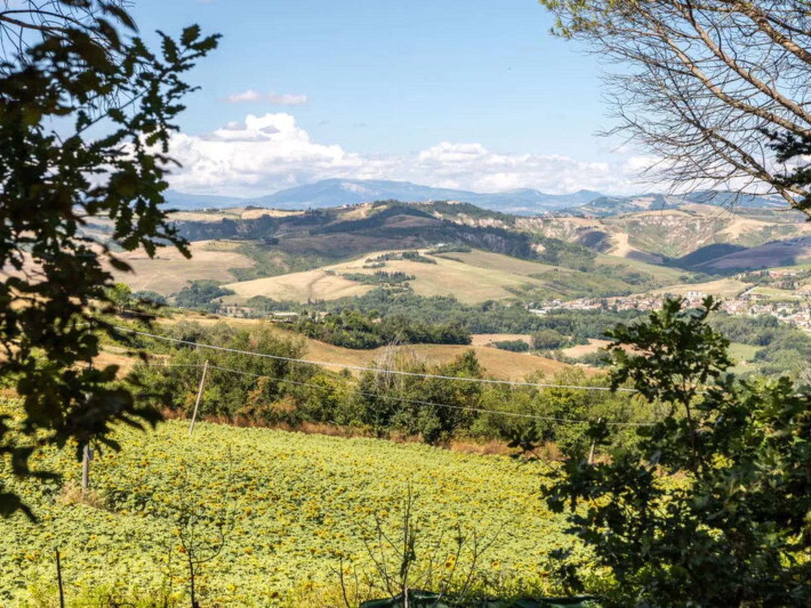 La Pineta Holiday Homes - Buiten