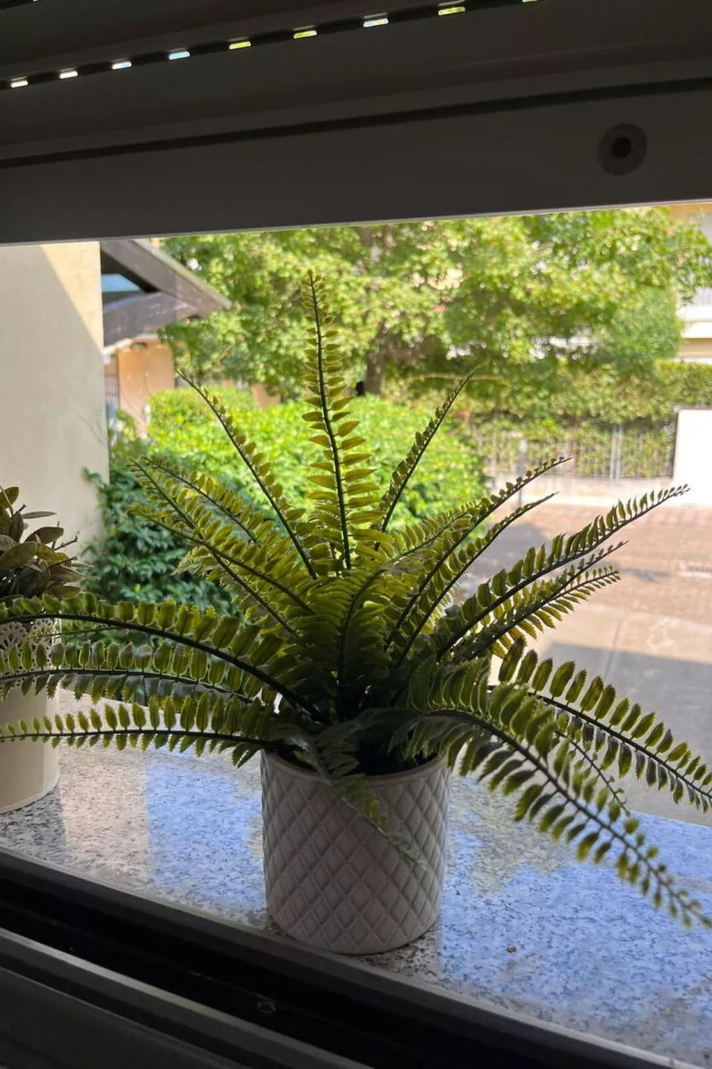 Bell'aria Apartment - Buiten