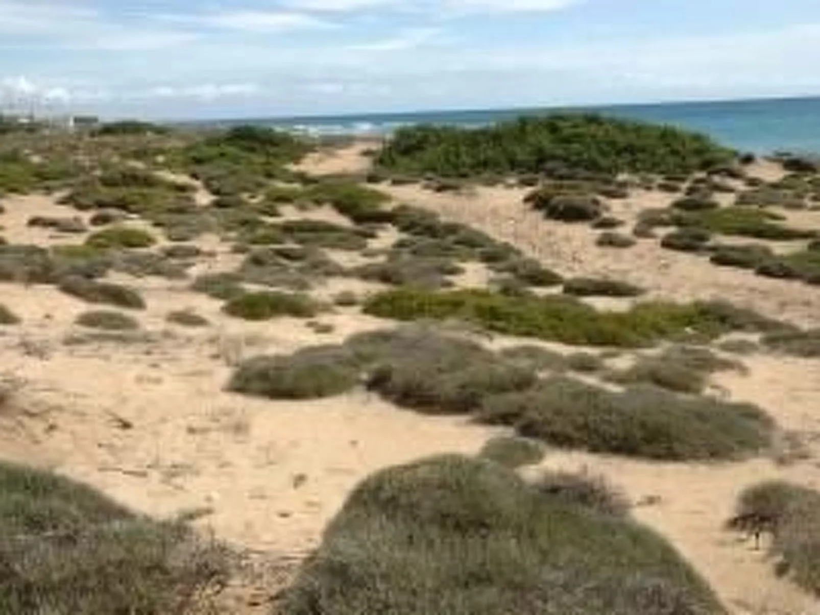 Doppelzimmer Cavalluccio Marino - Image-tags.info