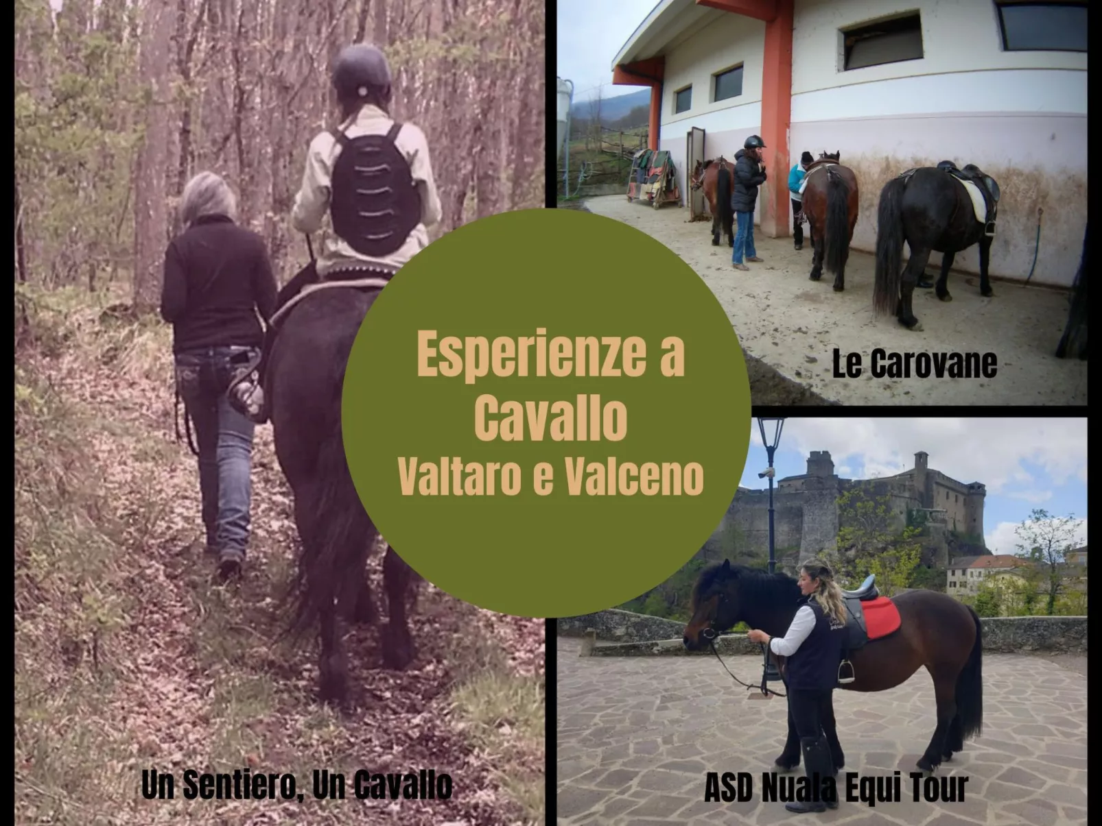 Ferienzimmer in Tolasudolsa Zimmer Frühstück - Buiten