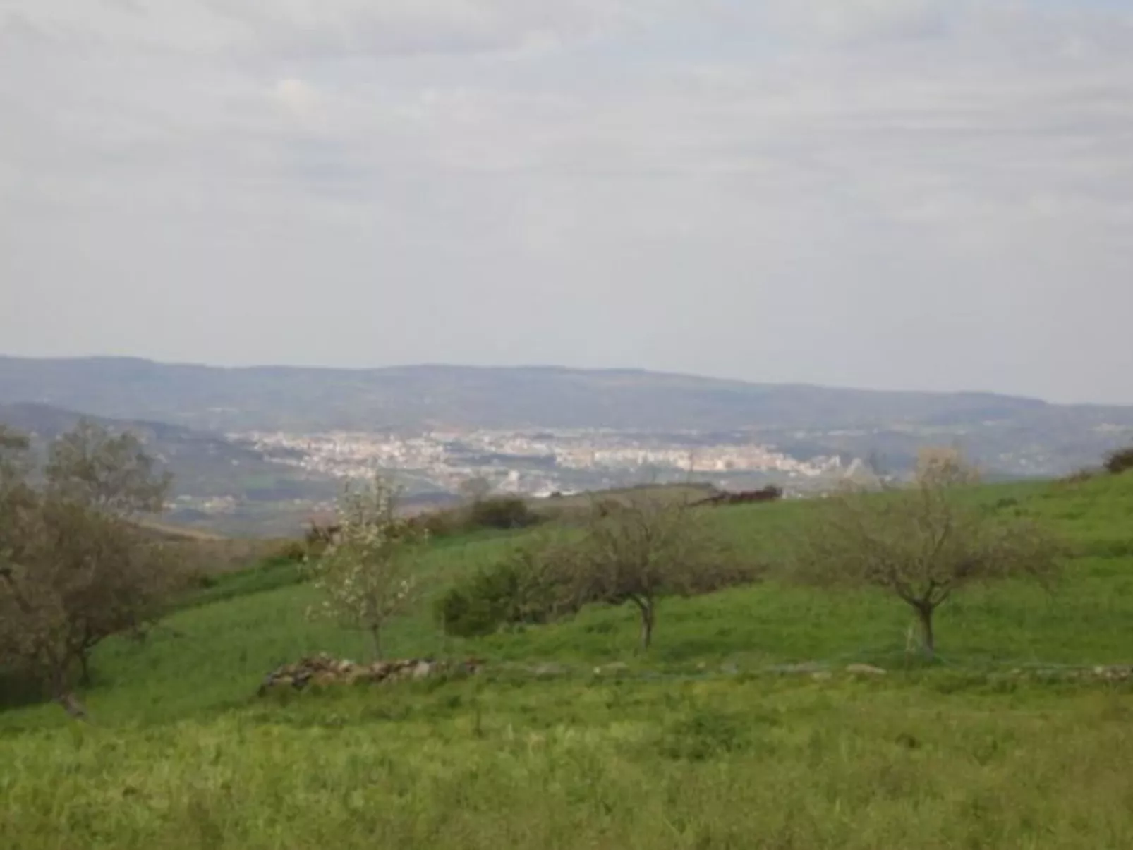 CASA LUIS GONZAGA - UNI. COIMBRA by VACATIONY - Buiten