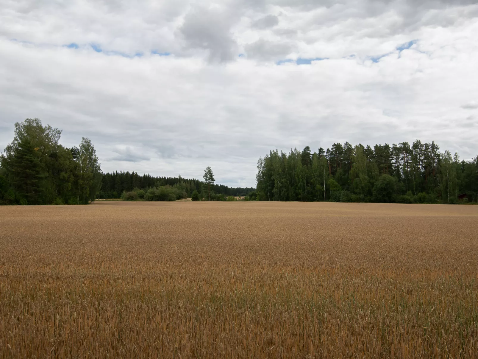 Virtaan väentupa - Binnen