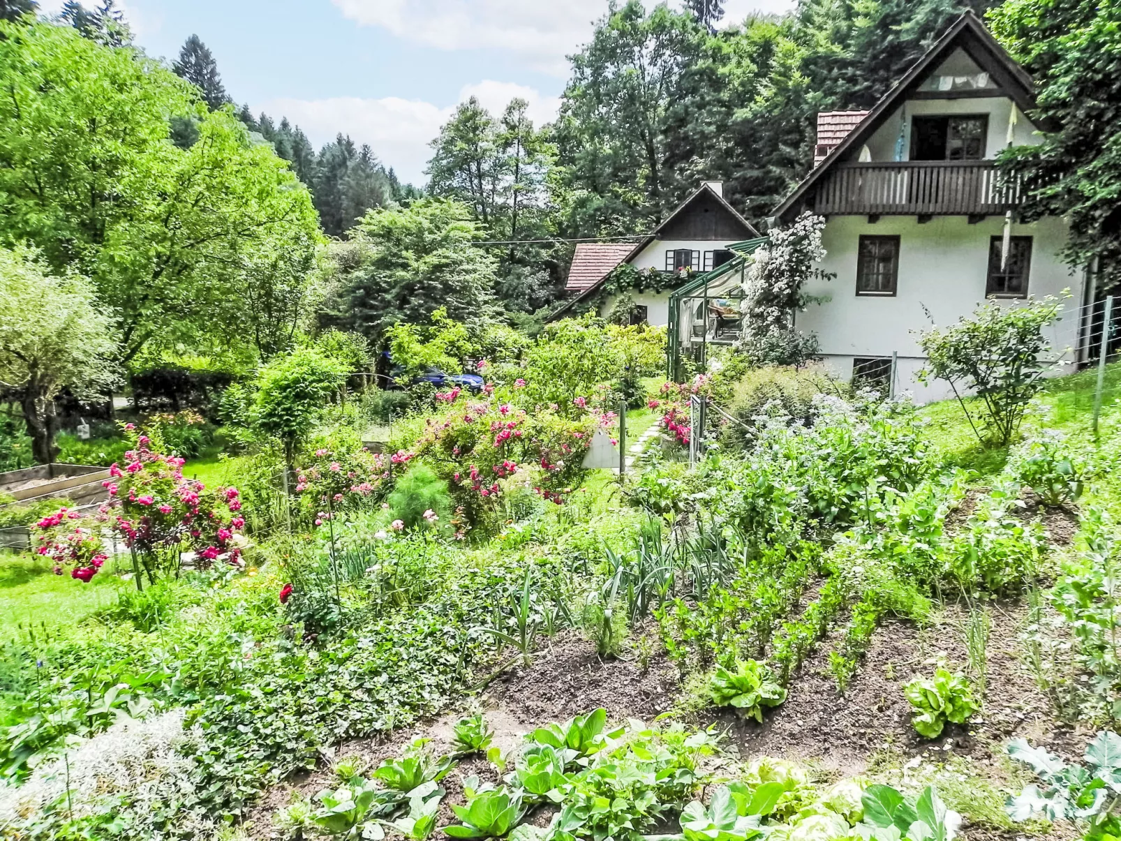 Himmelreichmühle - Buiten