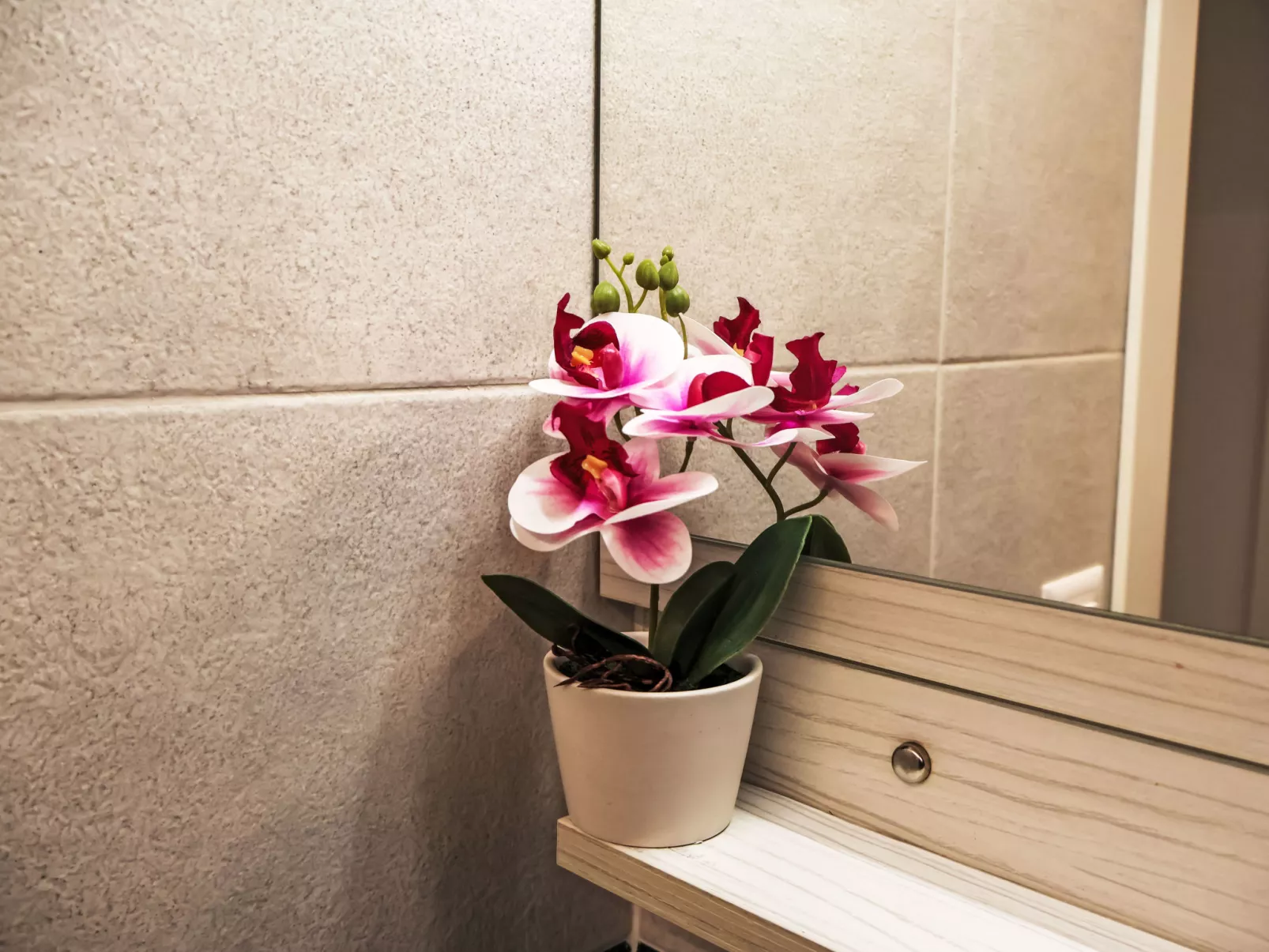 Haus Bellevue - Binnen