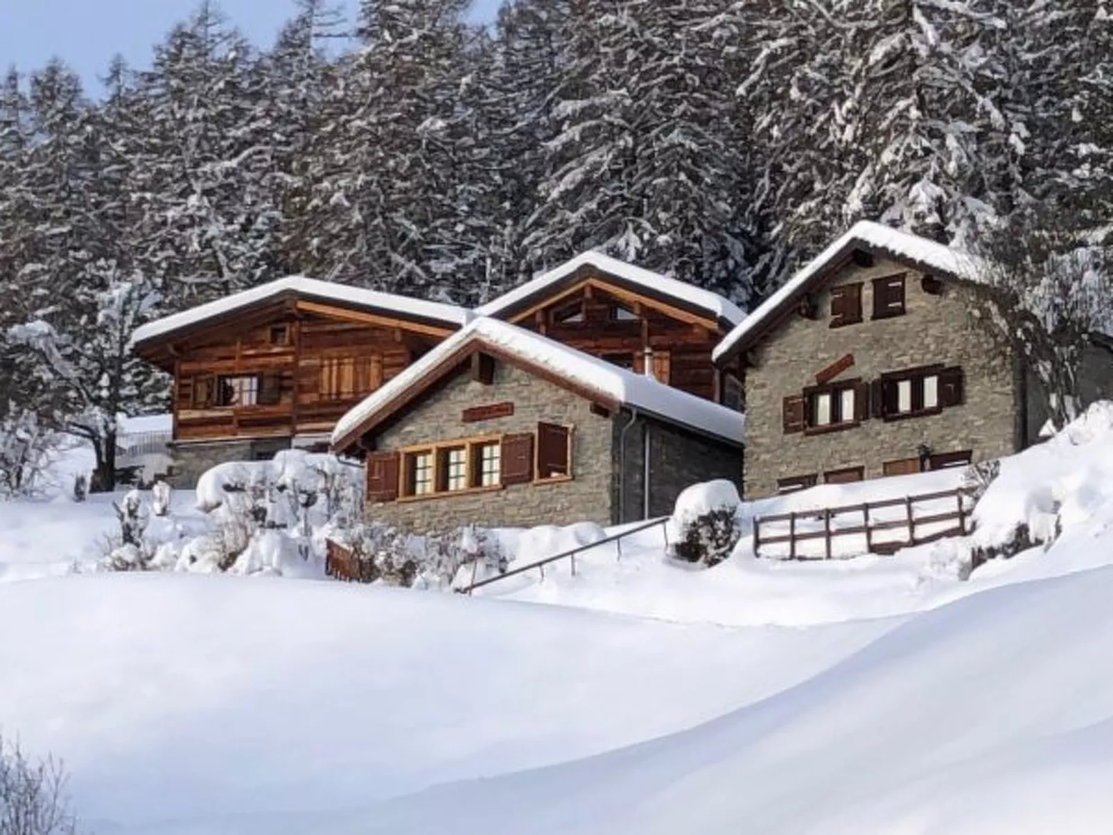 Tiny House facing the Alps - Ski in and out - Buiten