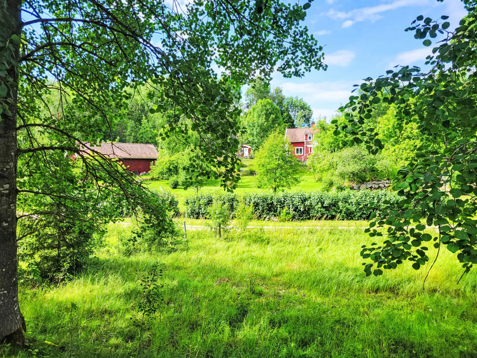 Äppelgården - Buiten