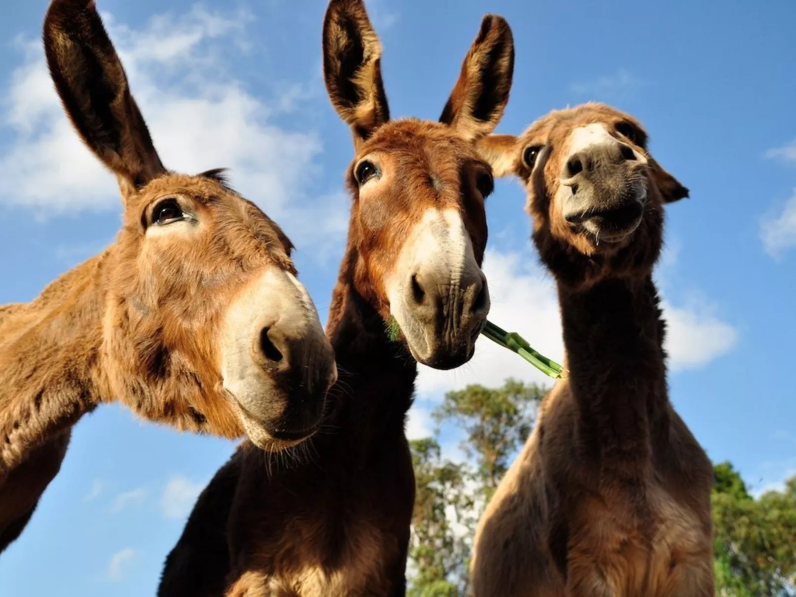 Romantisch und einzigartig "Das Bambus-Apartment" - Buiten