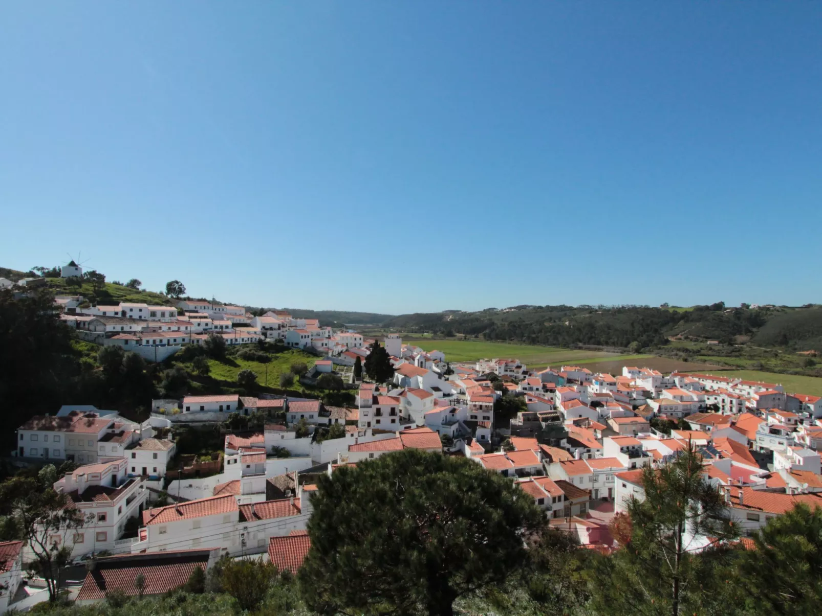 "The Natural Elements" - Image-tags.info