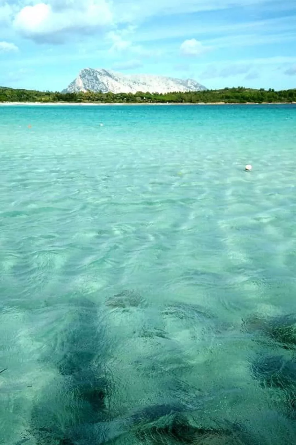 URLAUB AM MEER AUF DEM BAUERNHOF - Image-tags.info