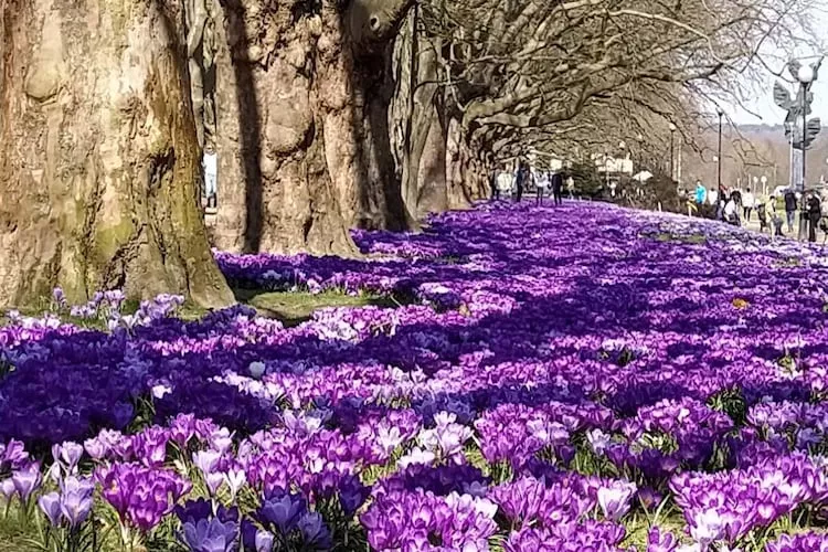 Holiday complex in Jezierzyce by Szczecin at the lake 30 qm for 4 persons Typ C Zolty - Gebieden zomer 20km