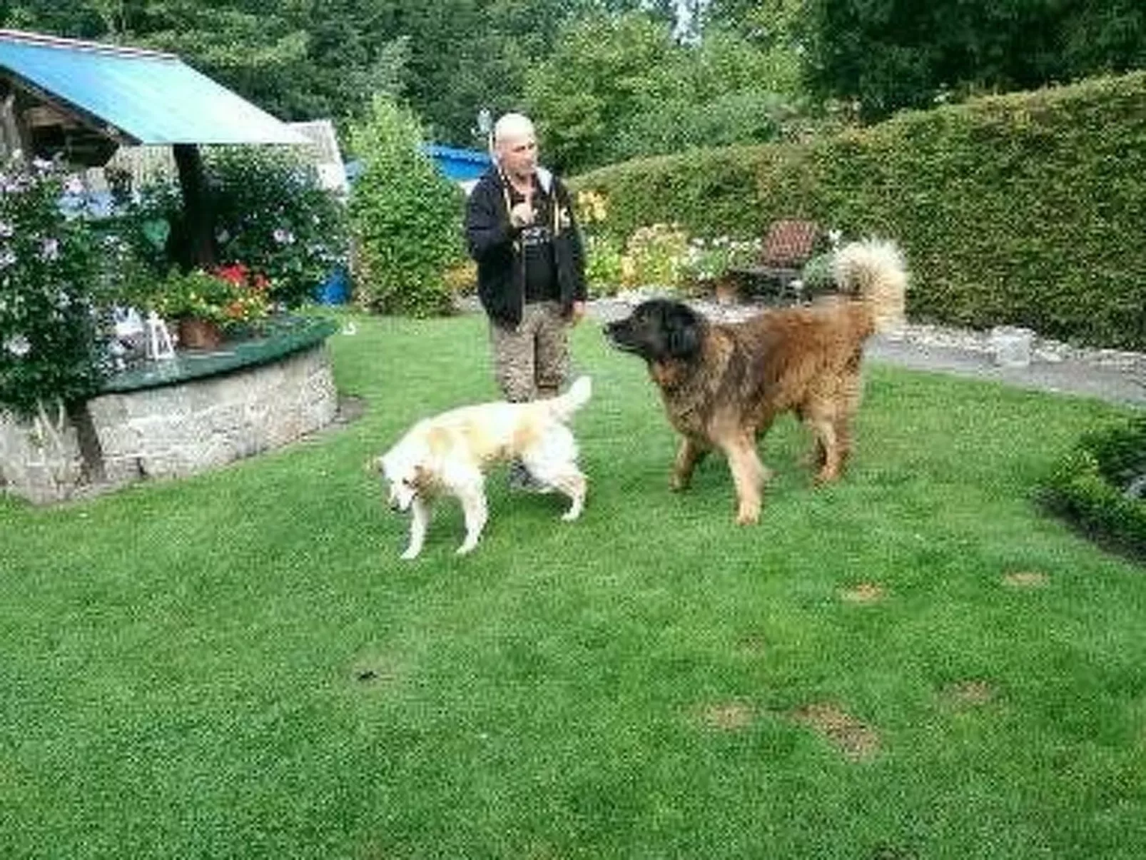 Ferienbungalow auf Gartengrundstück - Buiten