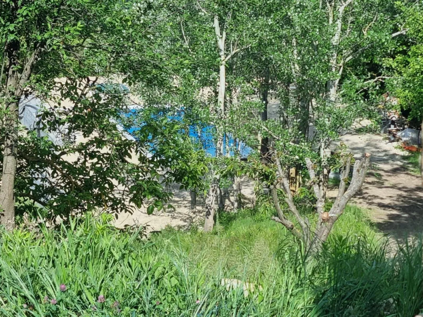 Rustikales und charmantes Doppelzimmer "Olmo Gentile" - Buiten