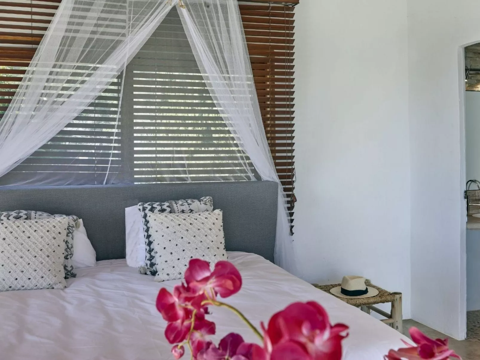 Can Managua - Image-tags.info