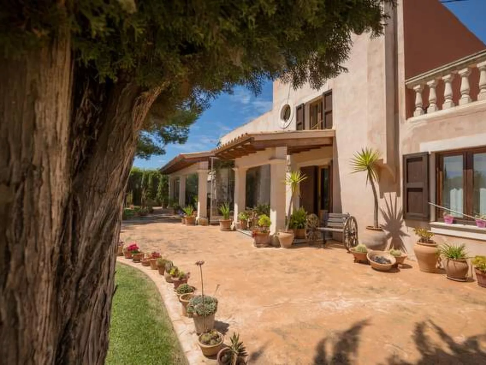 San Vicente - Image-tags.info