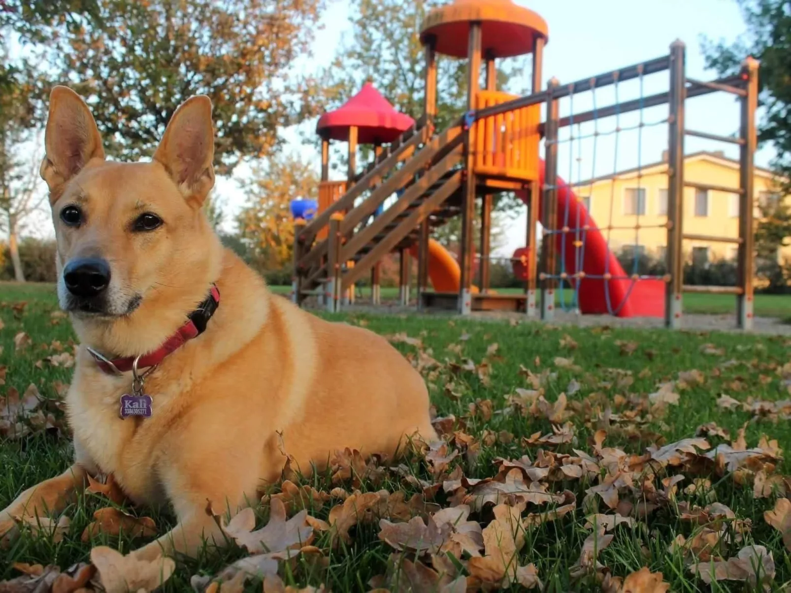 Wohnung "Mimosa" auf einem Bauernhof - Buiten