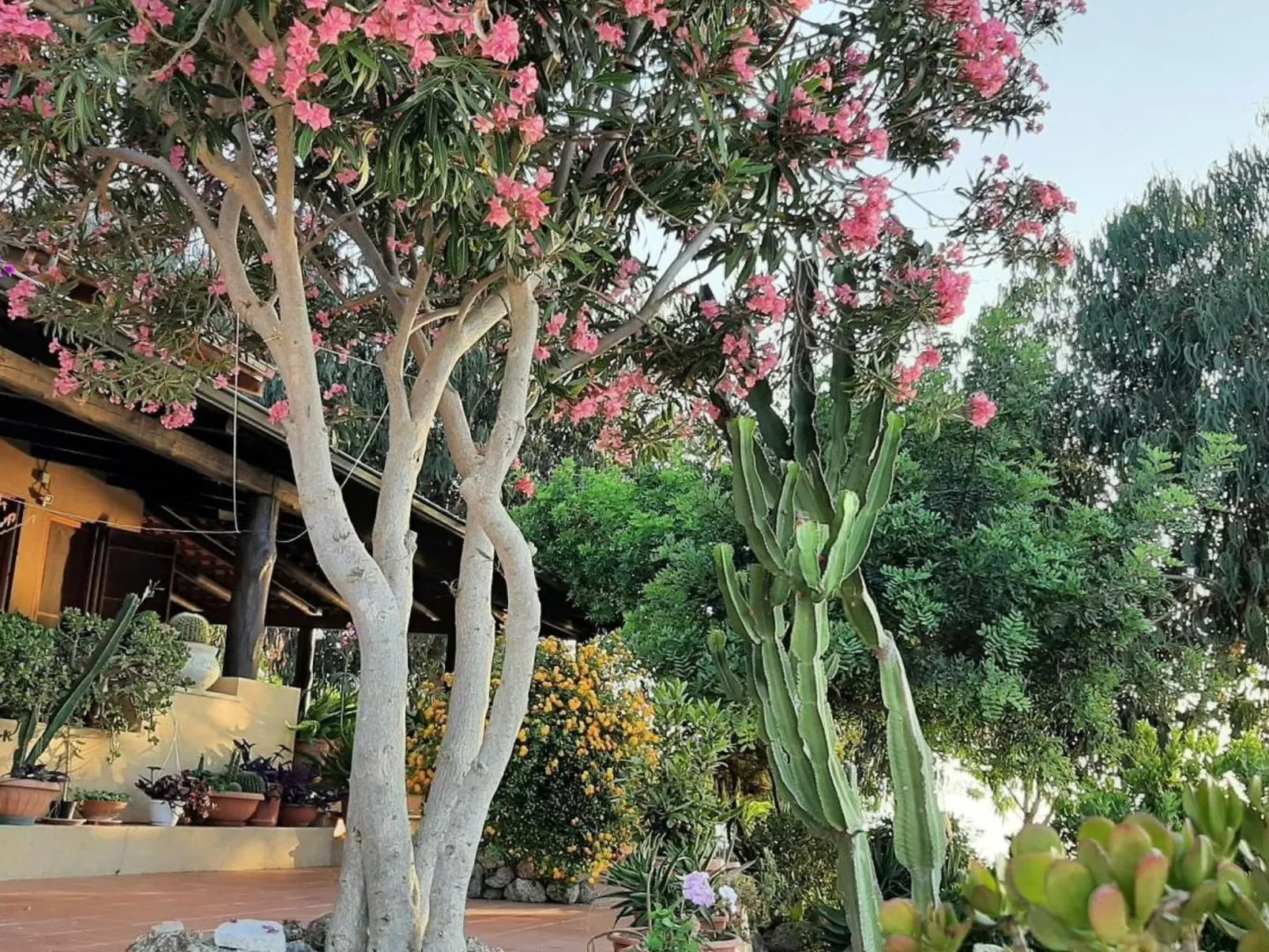 Villa Panorama Wohnung in privater Villa - Image-tags.info