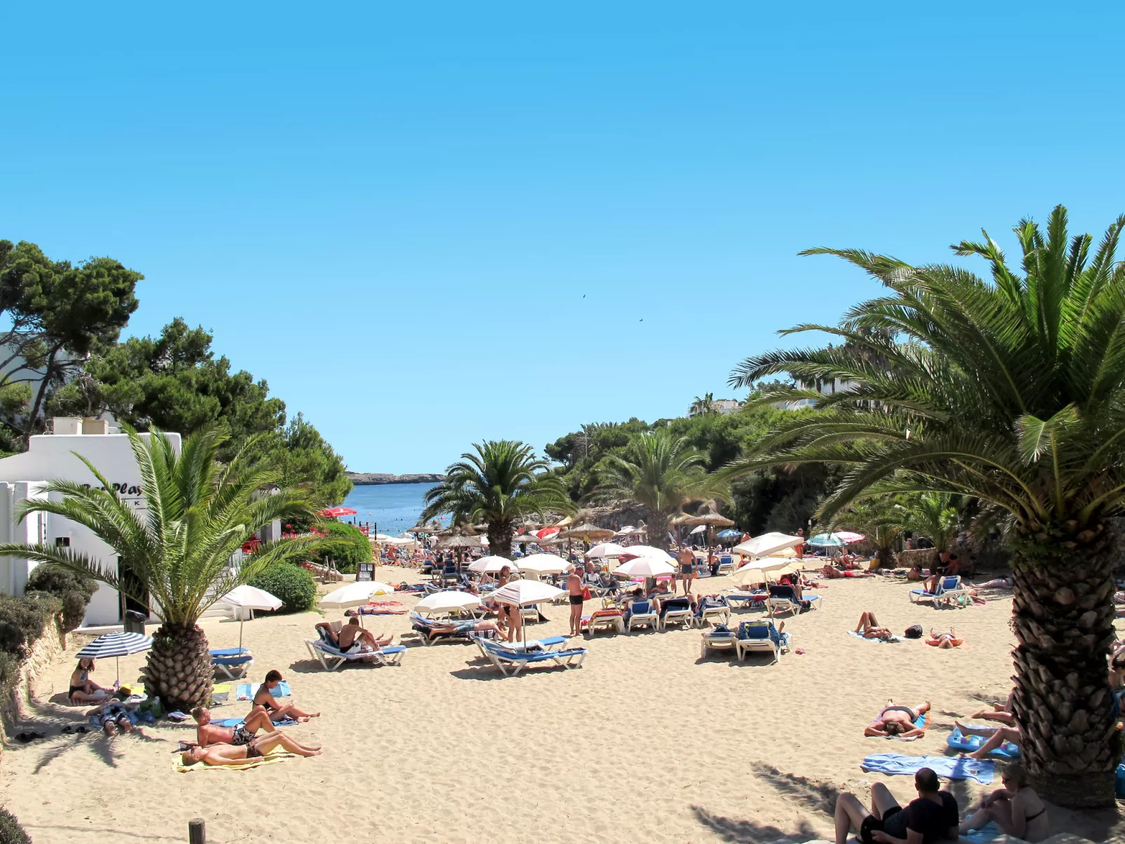 Bungalow Playa D'Or - Omgeving