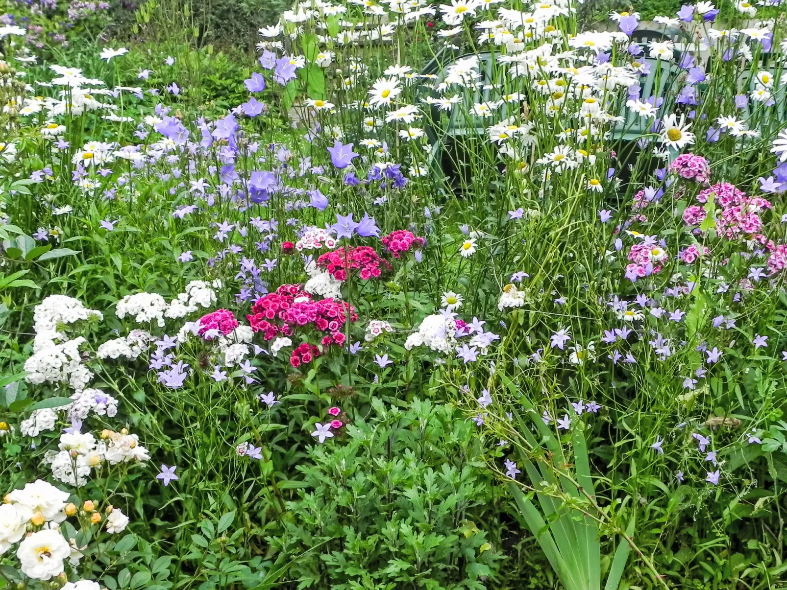 Himmelreichmühle - Binnen