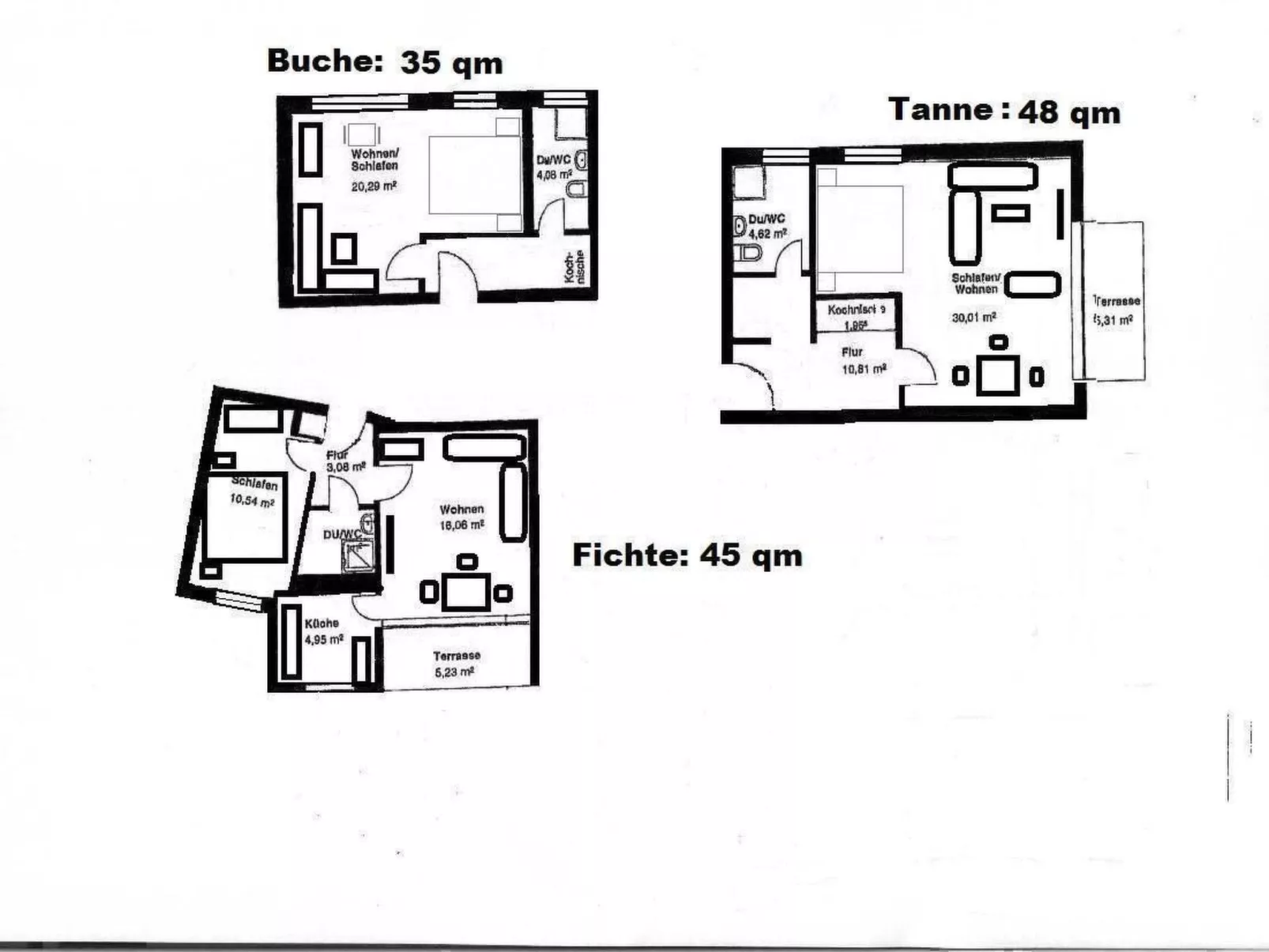 Tanne - Image-tags.info