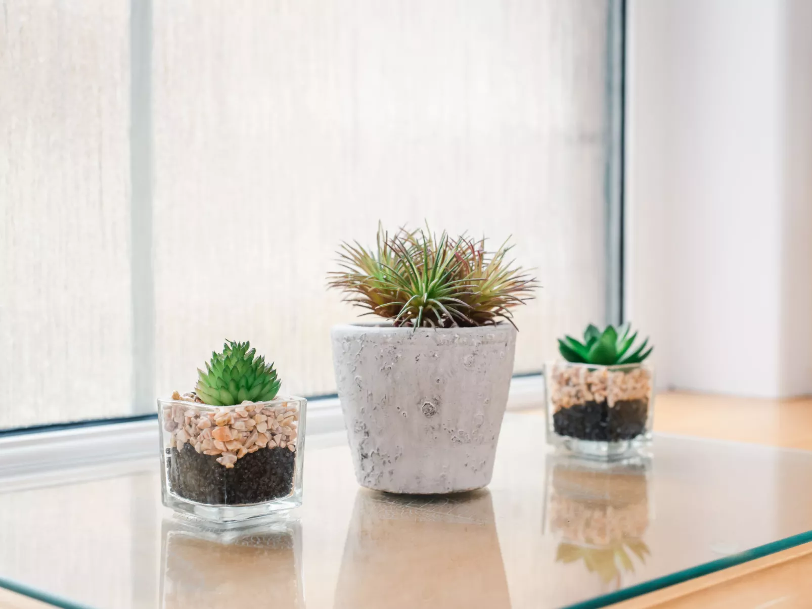 Old Dairy on Aigas Golf Course - Binnen