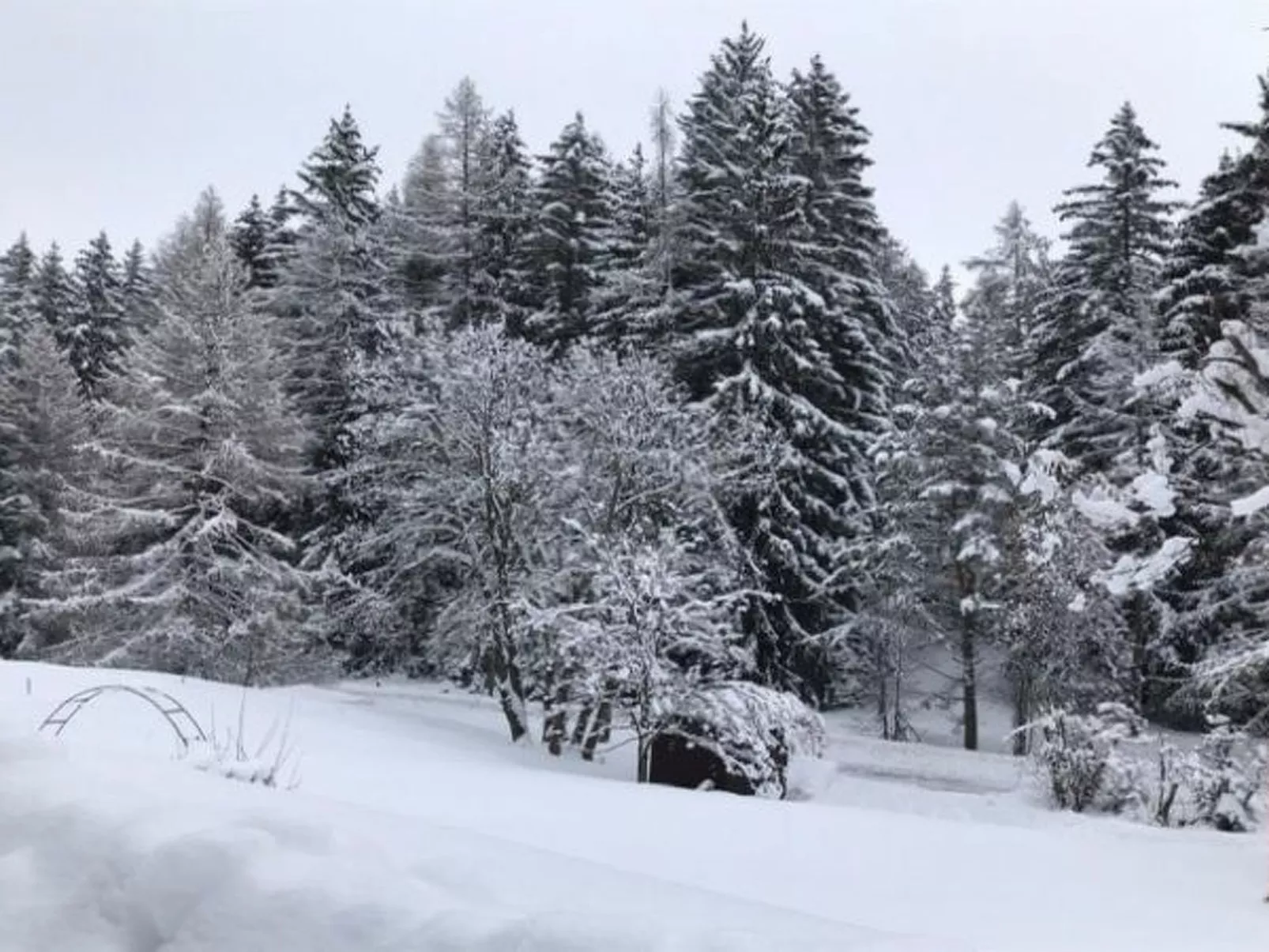 Chalet Les Girolles - Anzère - Buiten