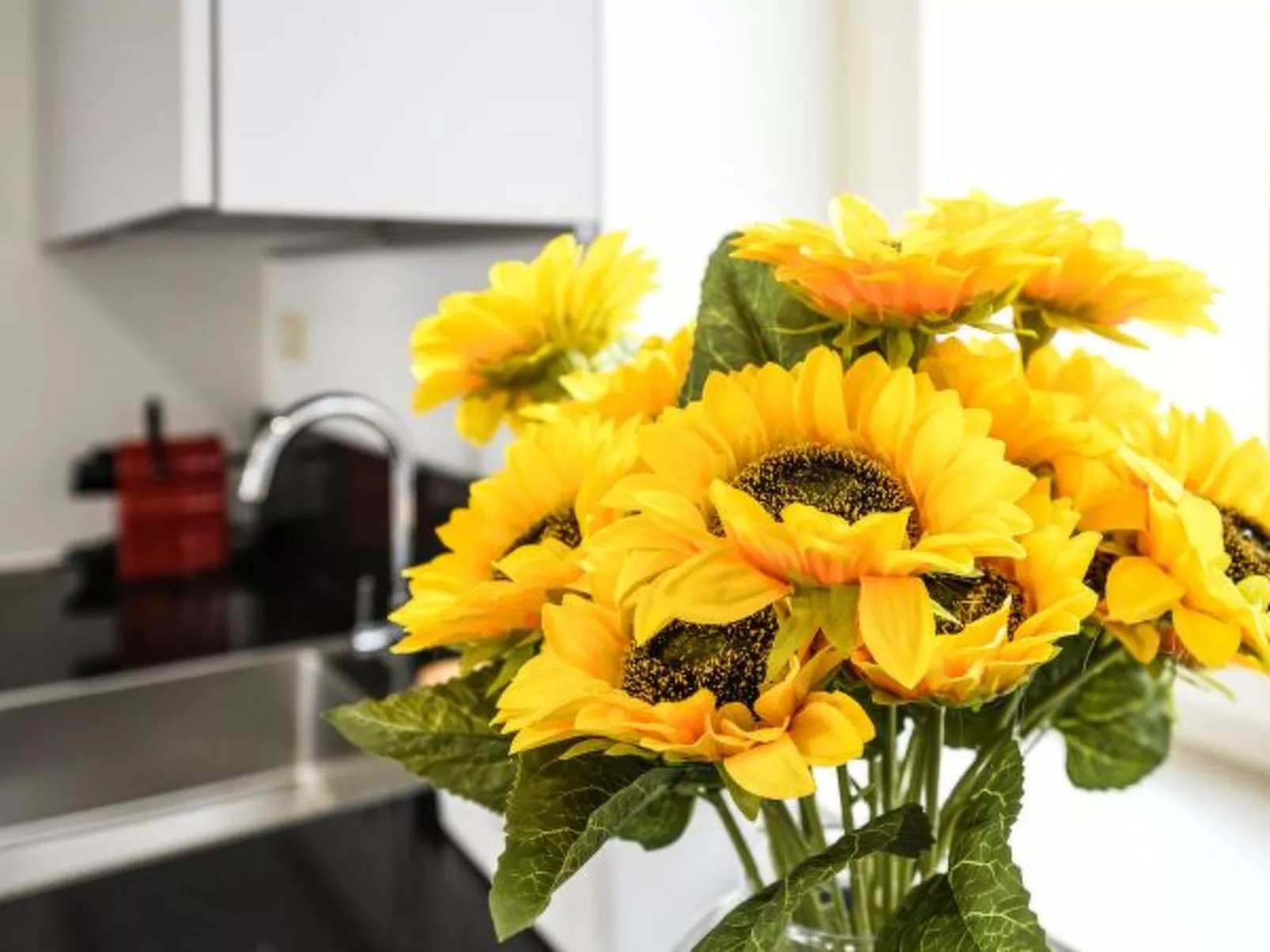 Desenzanoloft Palazzo Visconti-Collo Lungo Giallo - Image-tags.info