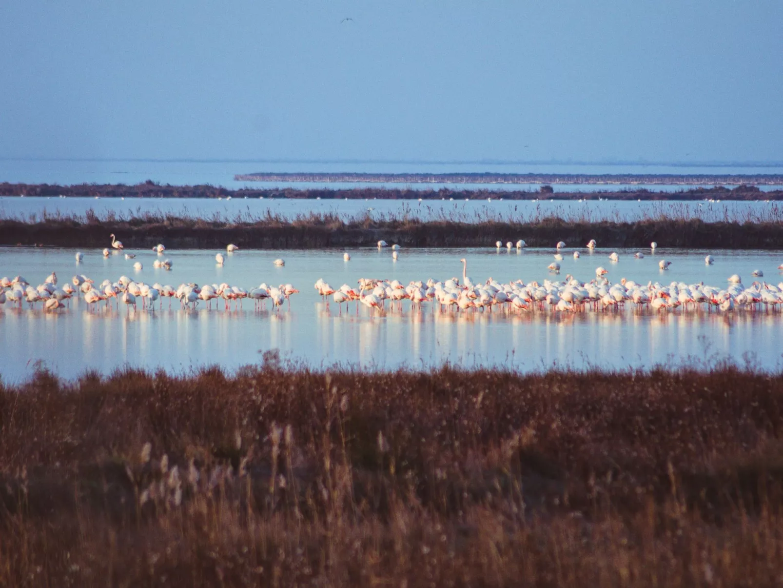 Attraktives Studio in Strandnähe, Klima - Buiten
