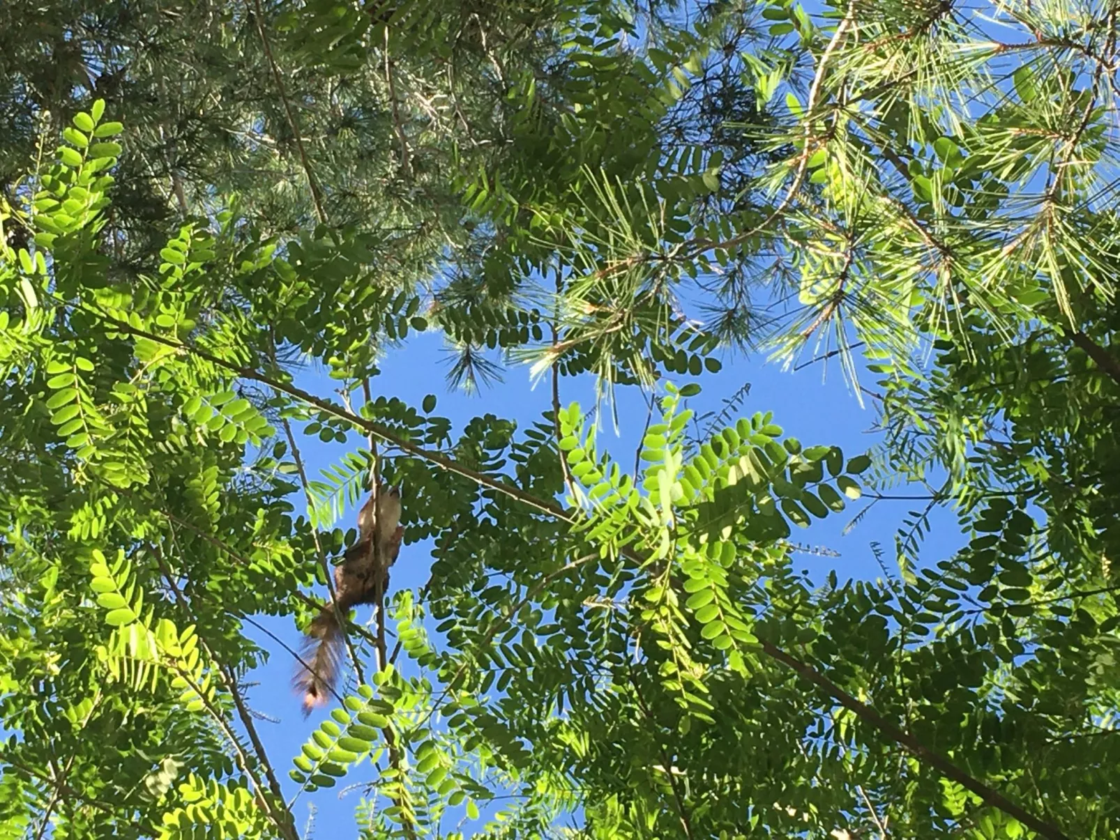 "Casa Encina" mit Whirlpool - Image-tags.info