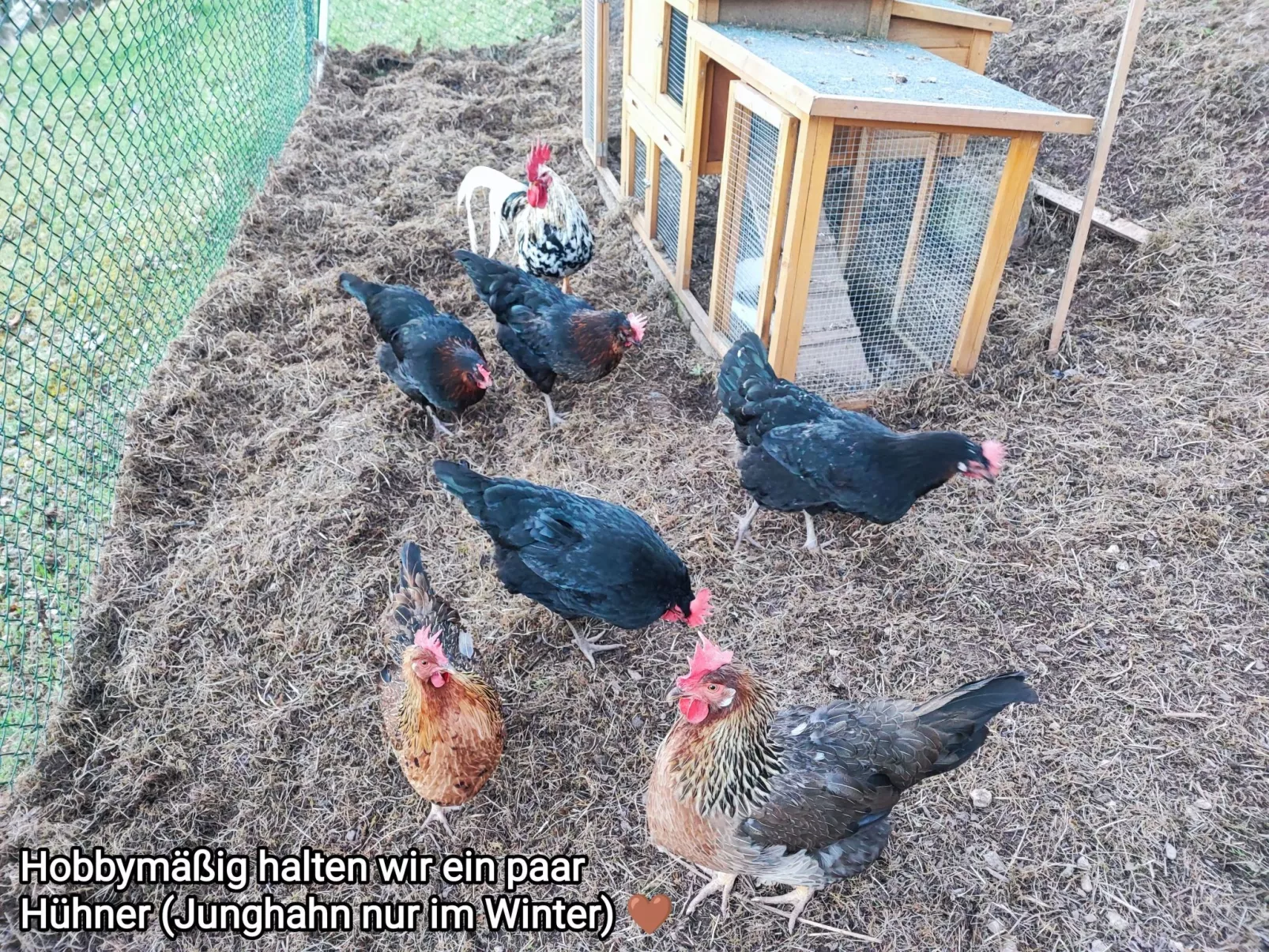 Look wide - Image-tags.info