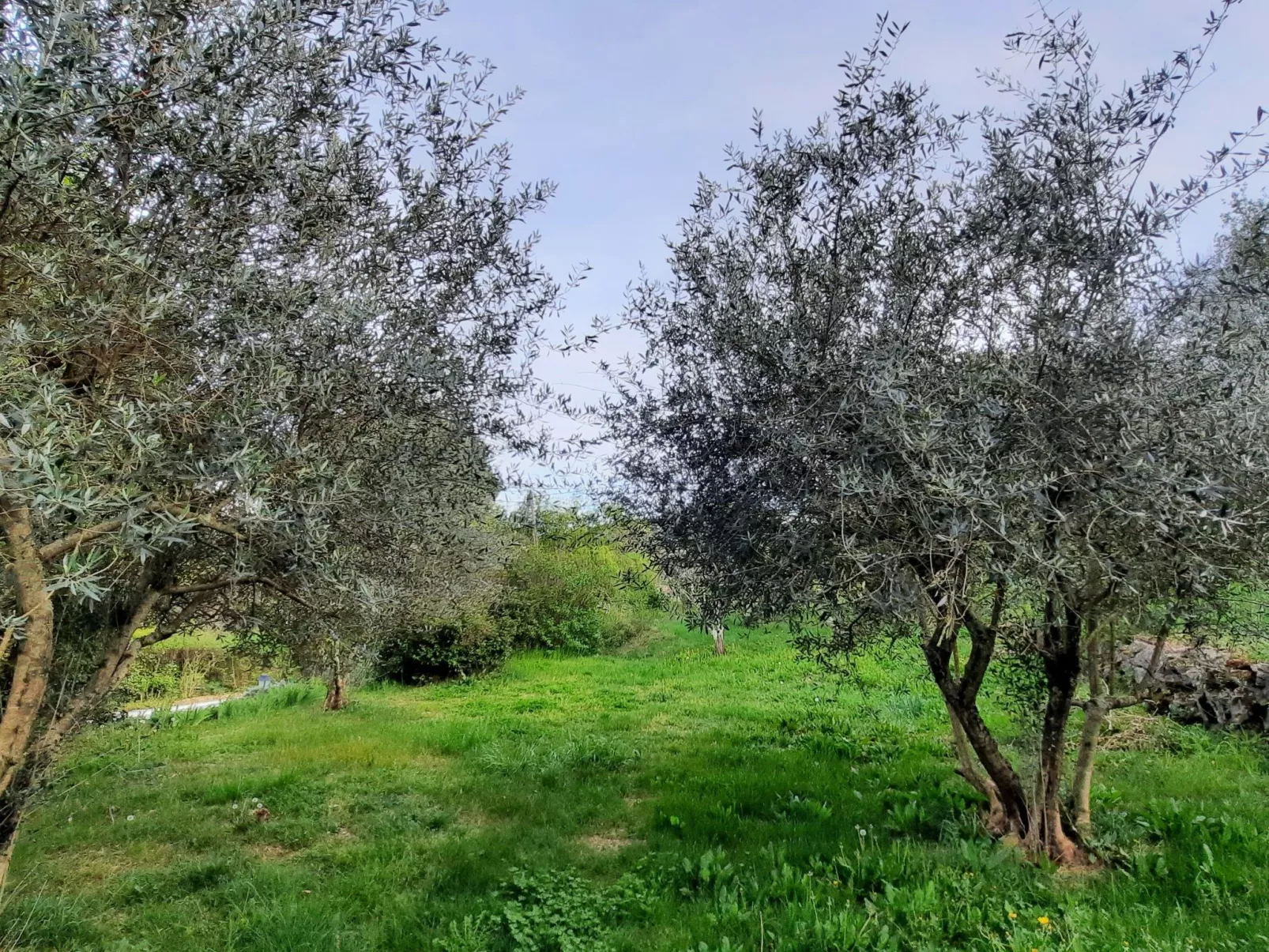 "Gîte La Calade" mit Pool - Buiten