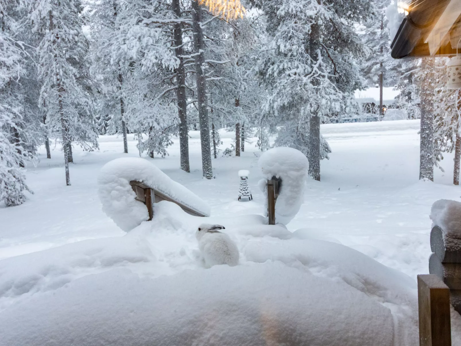 Levin neljä tuulta - Binnen