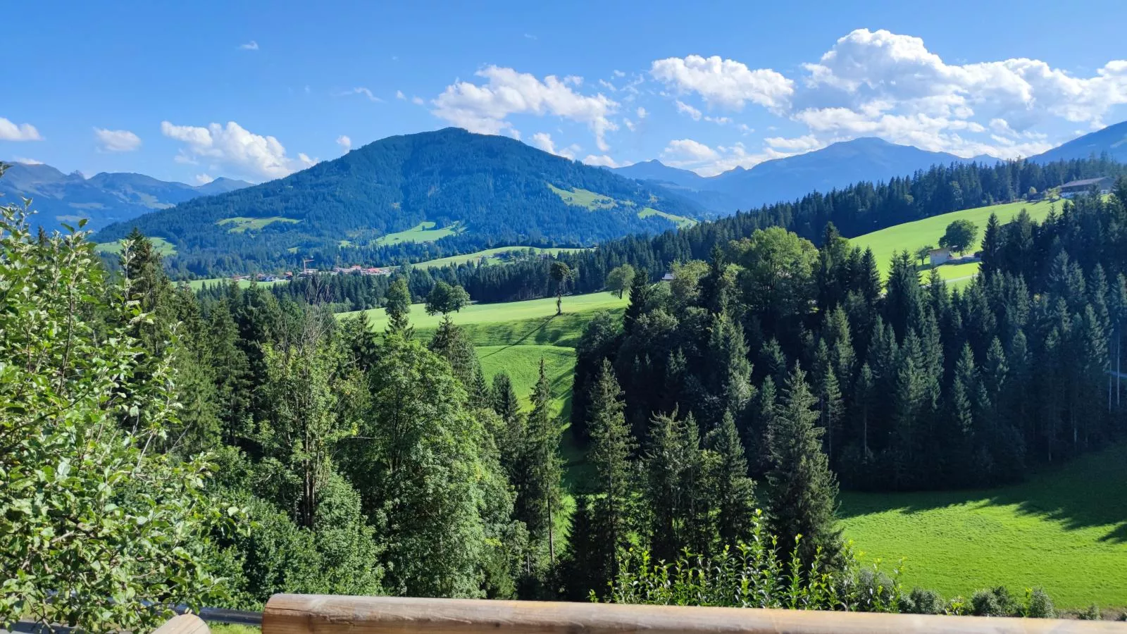 viewsummer