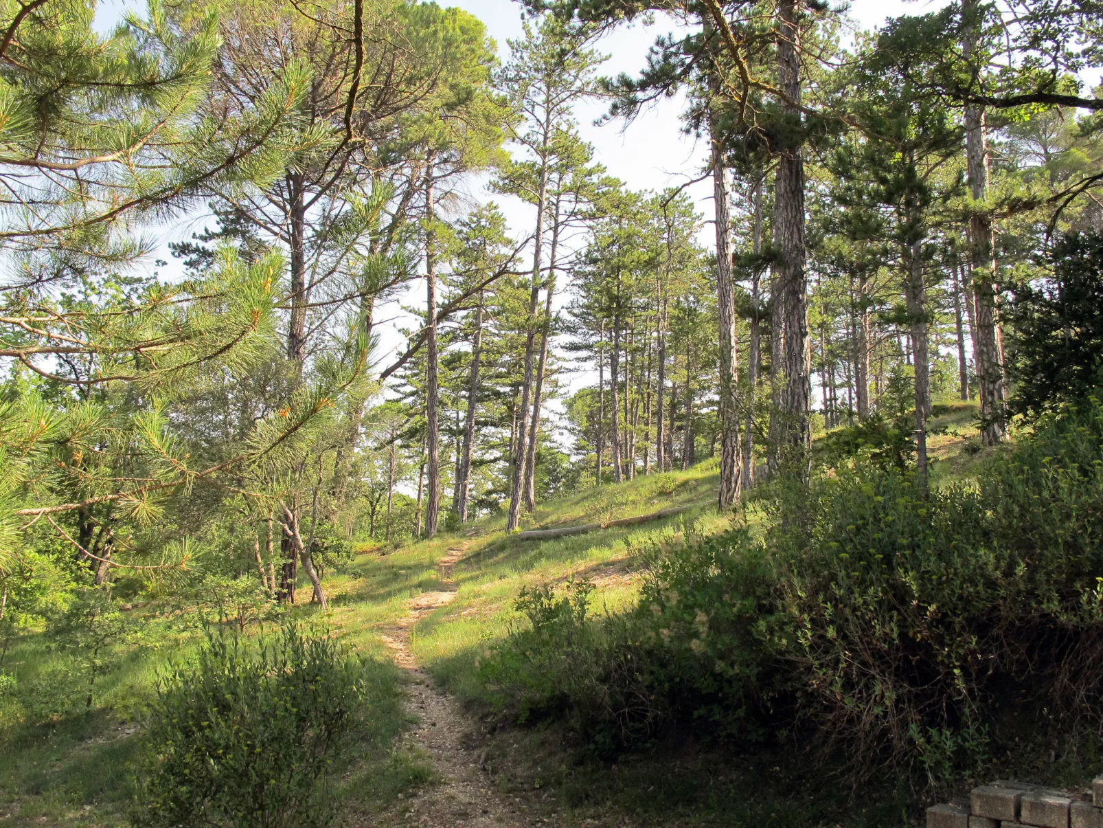 Domaine de Château Laval - Buiten