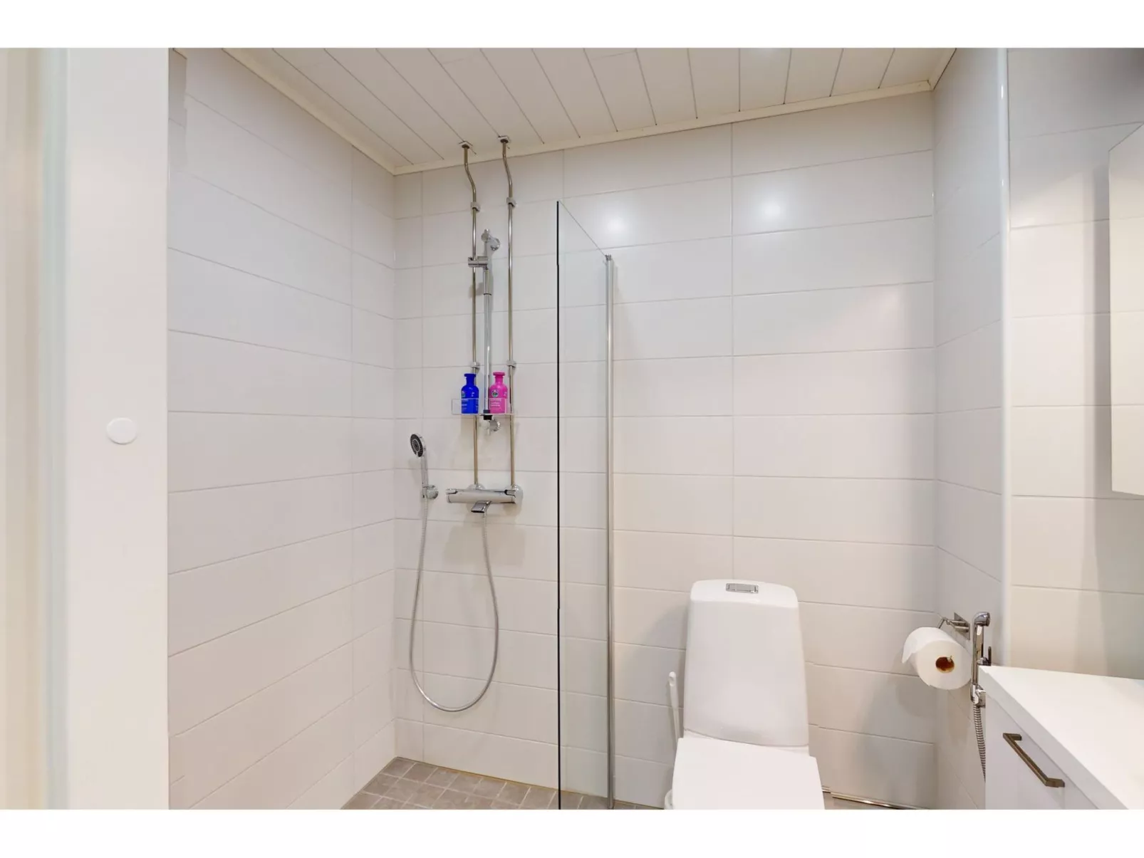 Röllimetsä d 4 - Binnen