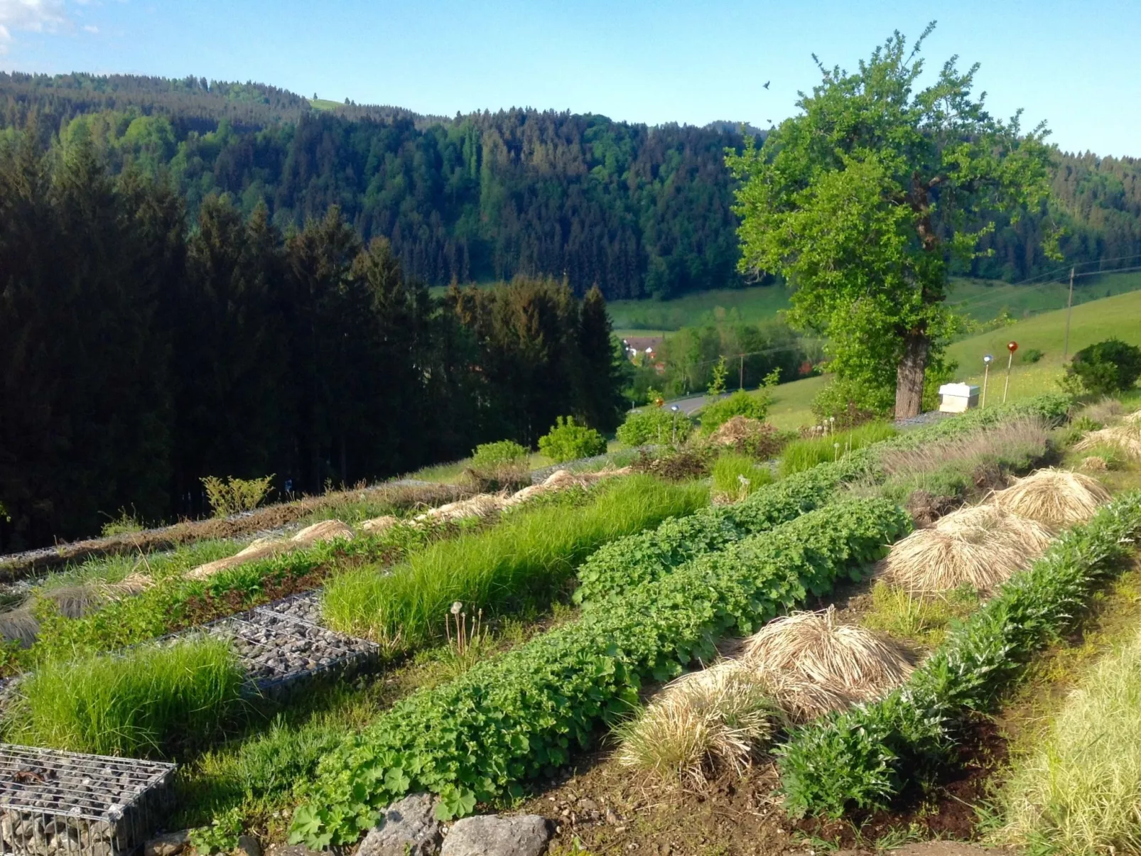 Kräuterhof-Ferienwohnung - Buiten