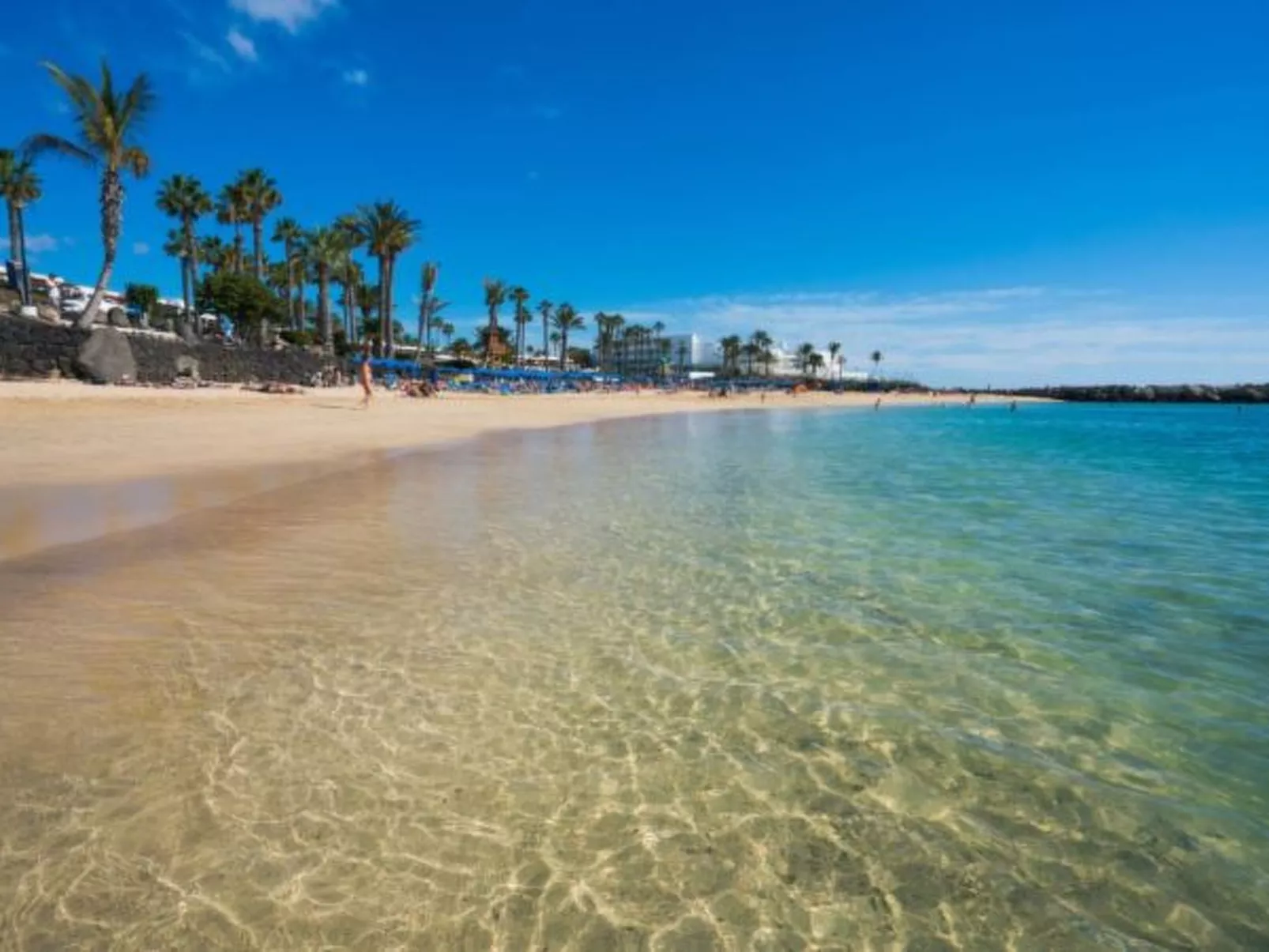 PLAYA FLAMINGO B - Image-tags.info