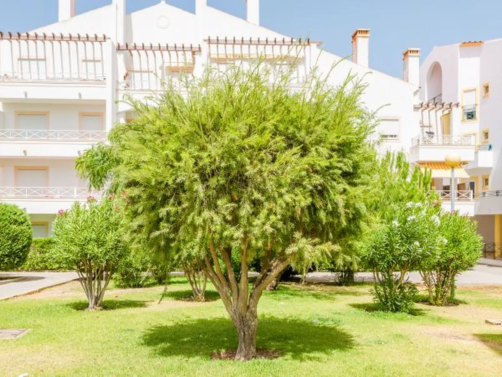 Alfamar Apartment at Praia da Falesia - Buiten
