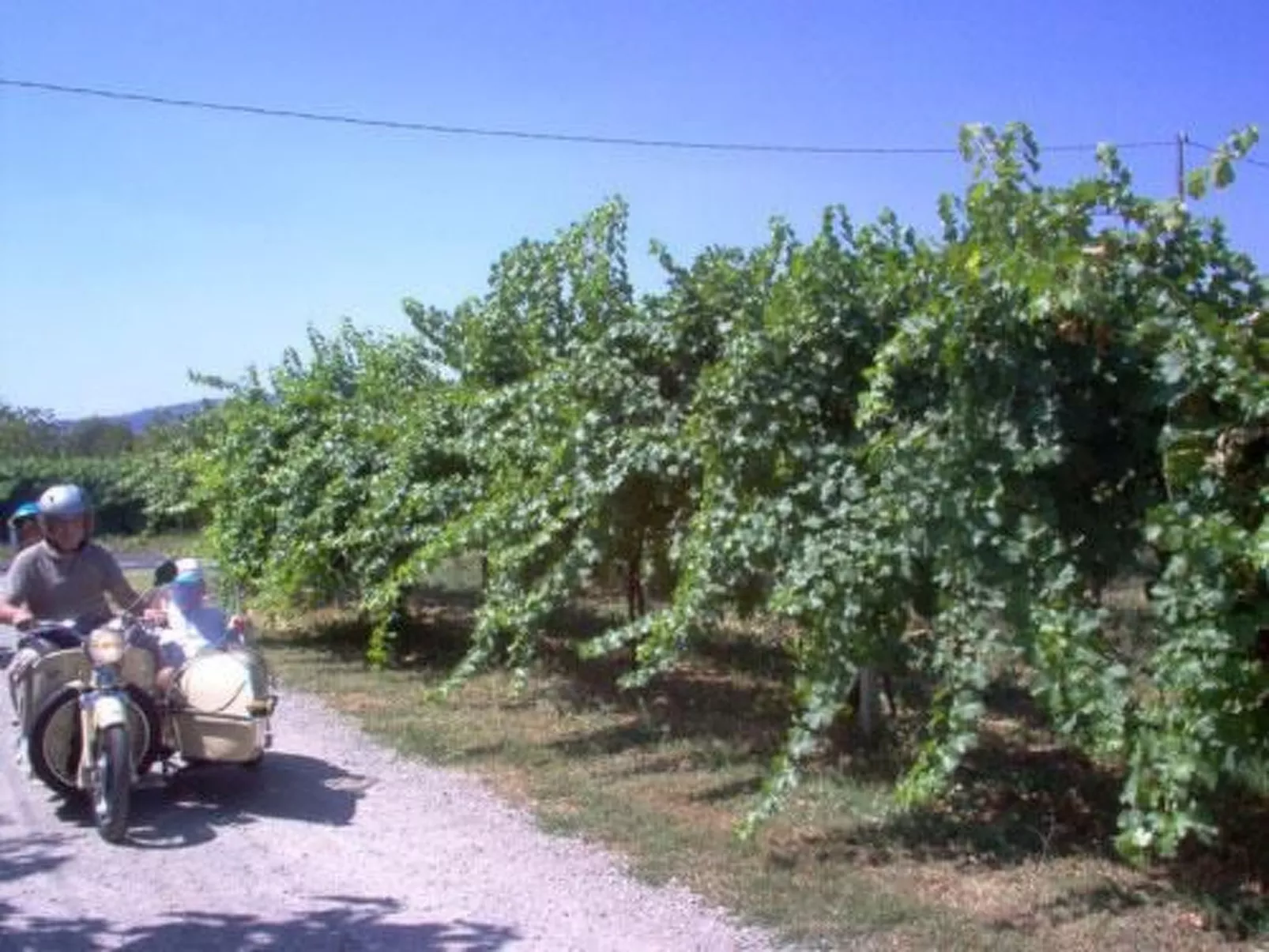 Wohnung "Ninfea" auf einem Bauernhof - Image-tags.info