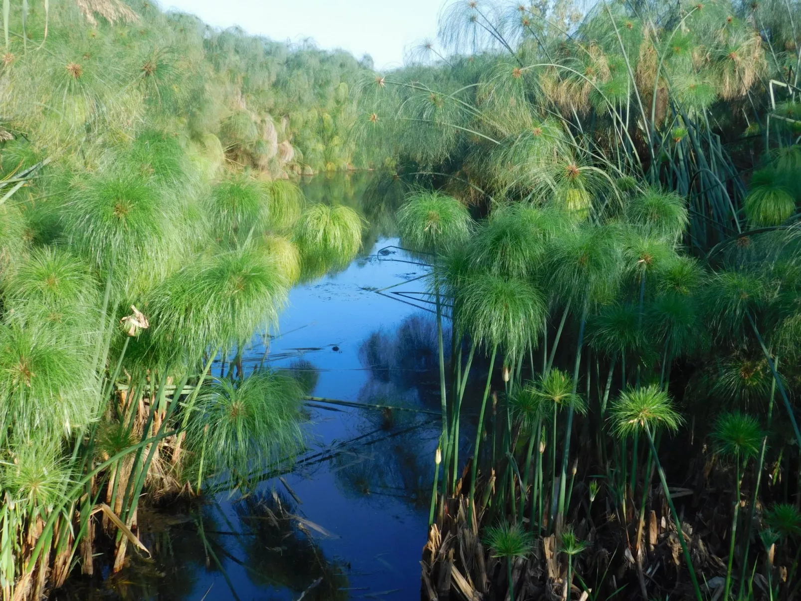 Villa dei Papiri - Exklusives Zimmer mit möbliertem Garten - Image-tags.info